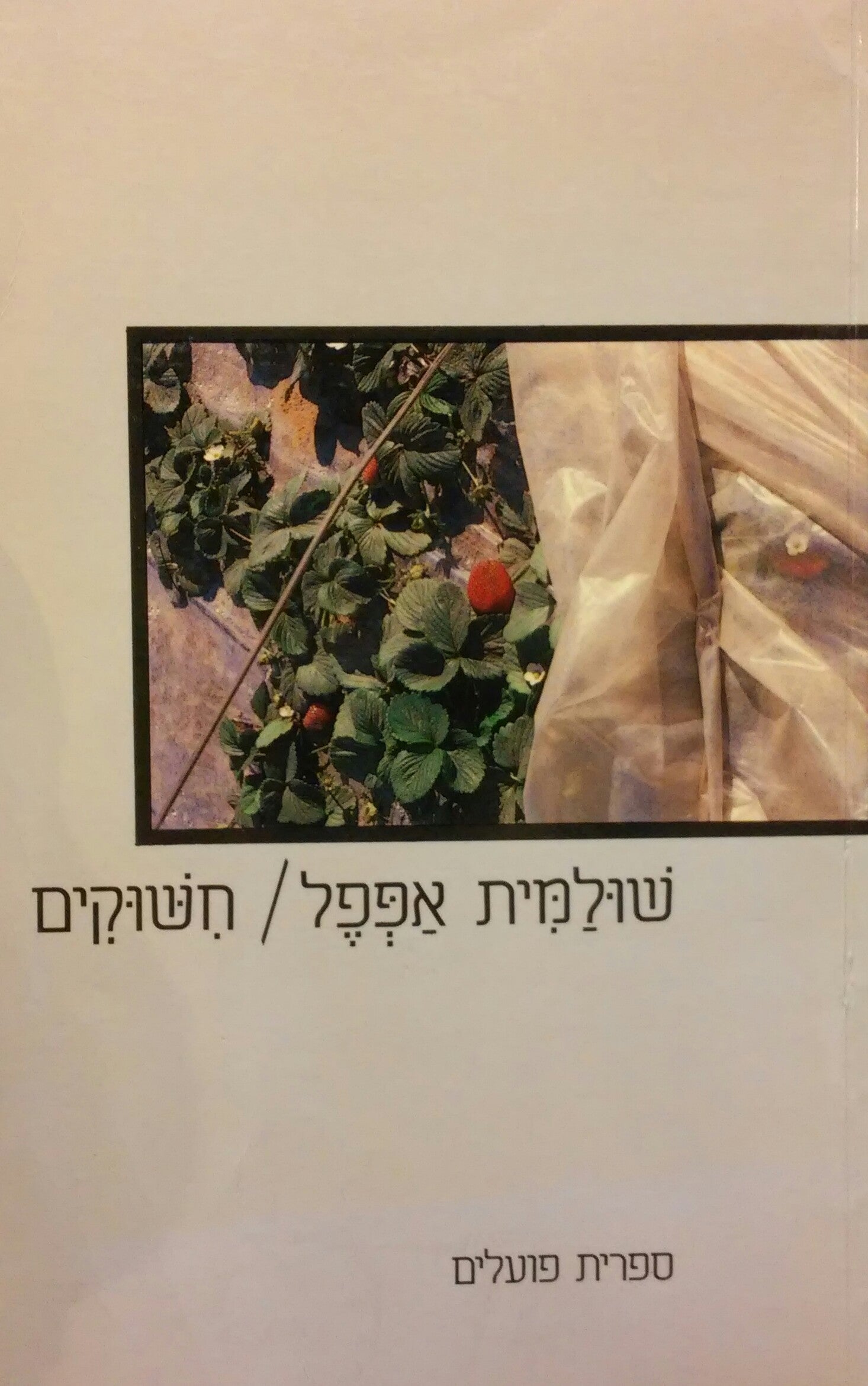 חשוקים
