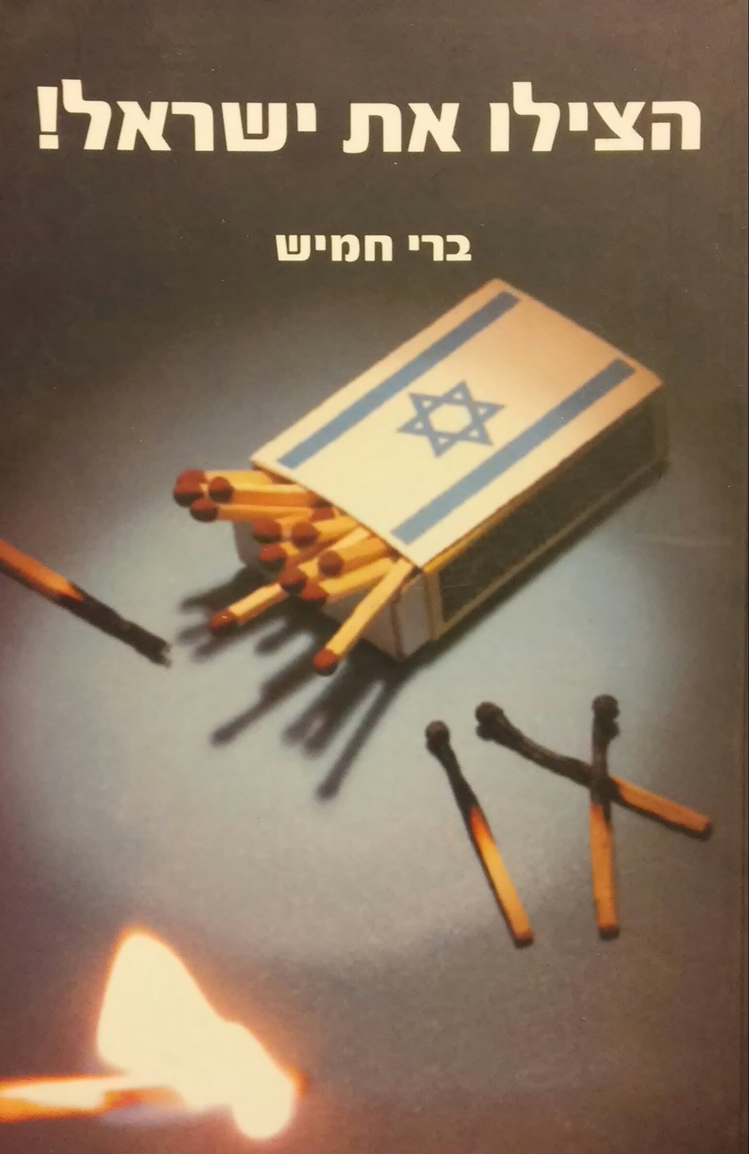 הצילו את ישראל / יומן עיתונאי 2000-2003