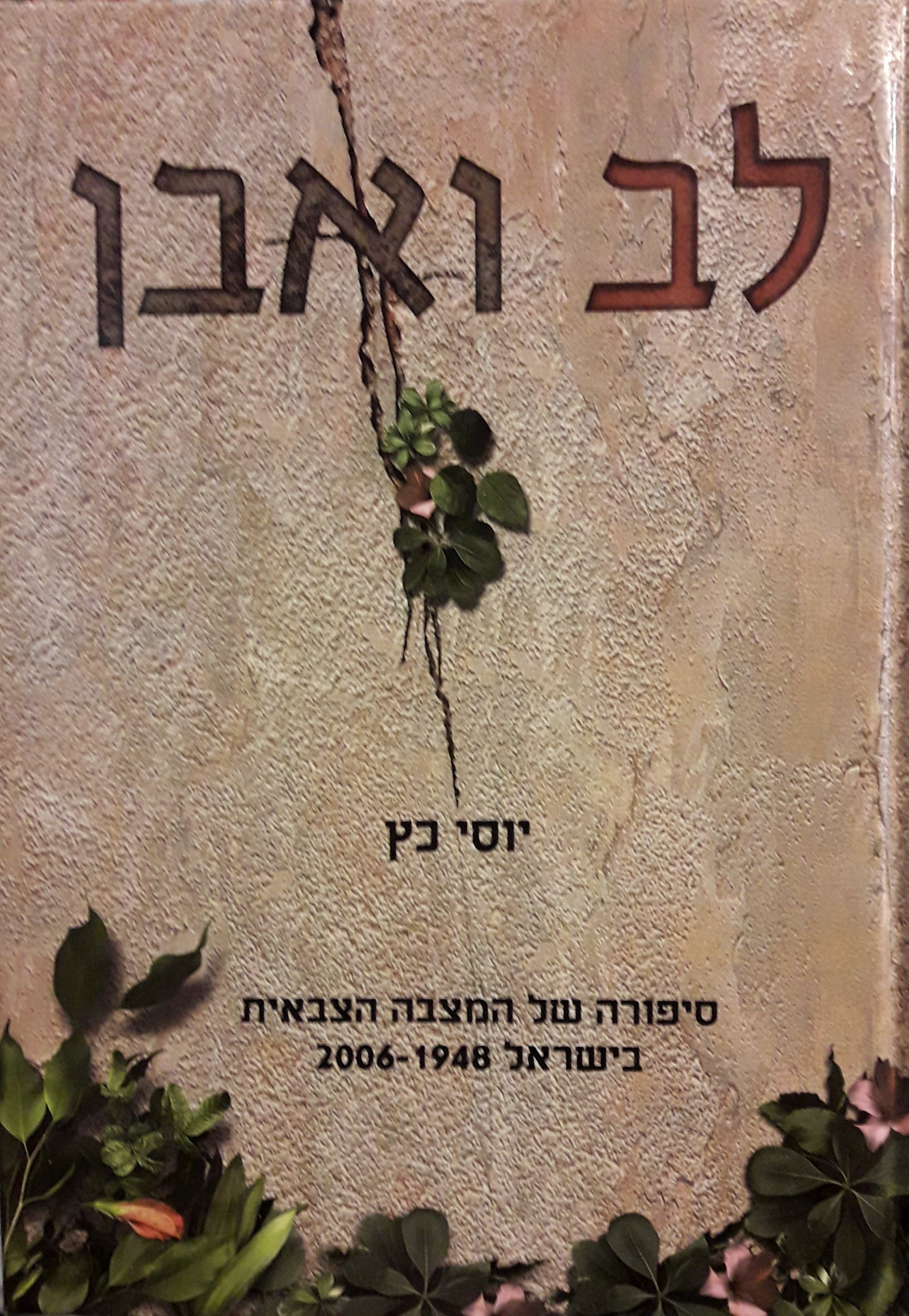 לב ואבן / סיפורה של המצבה הצבאית בישראל 1948-2006