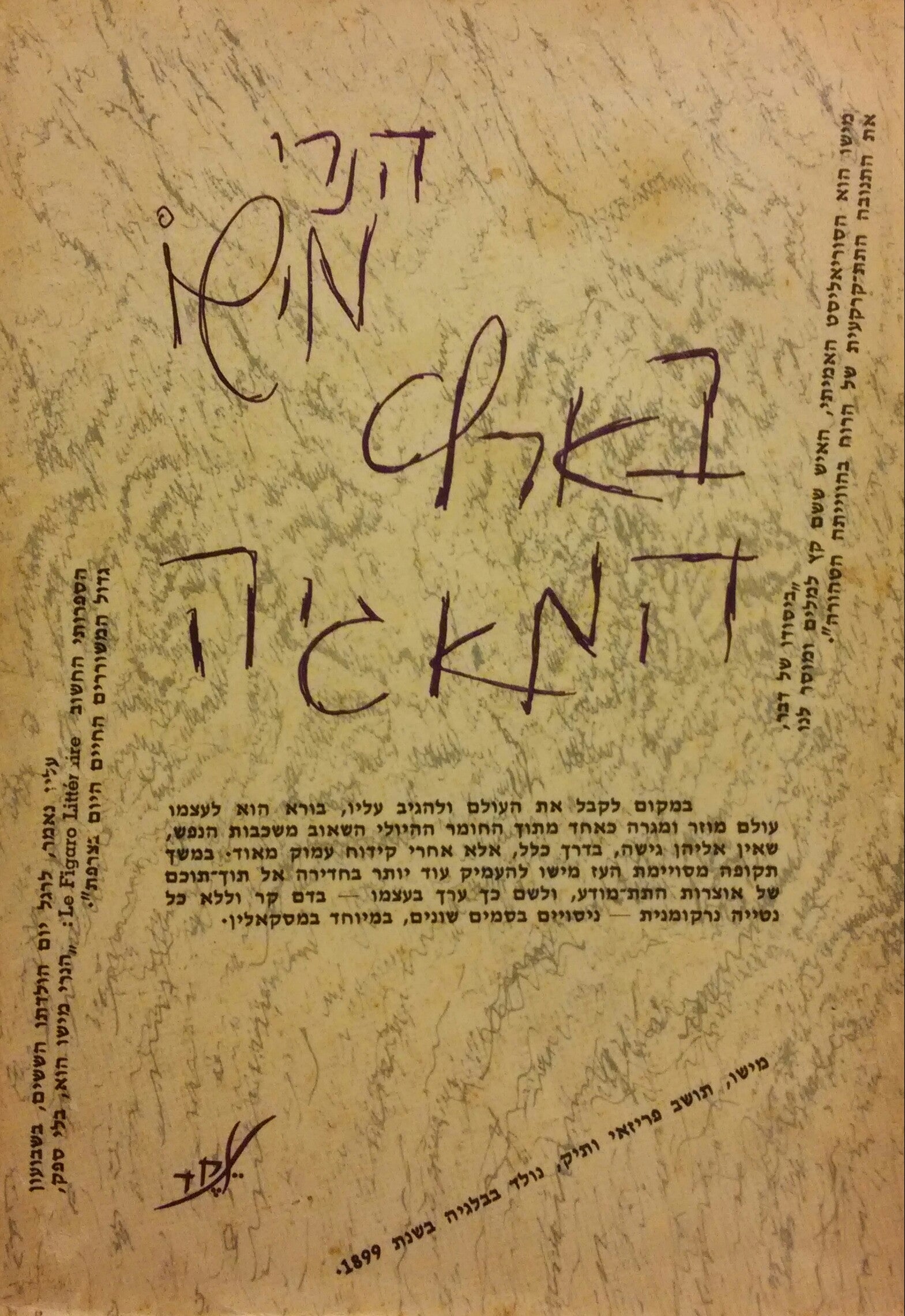 בארץ המאגיה