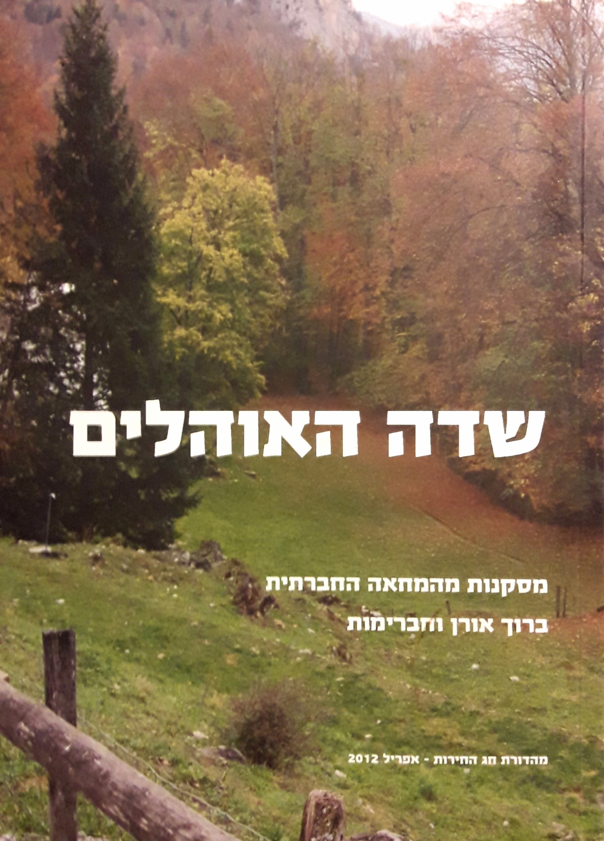 שדה האוהלים / מסקנות מהמחאה החברתית
