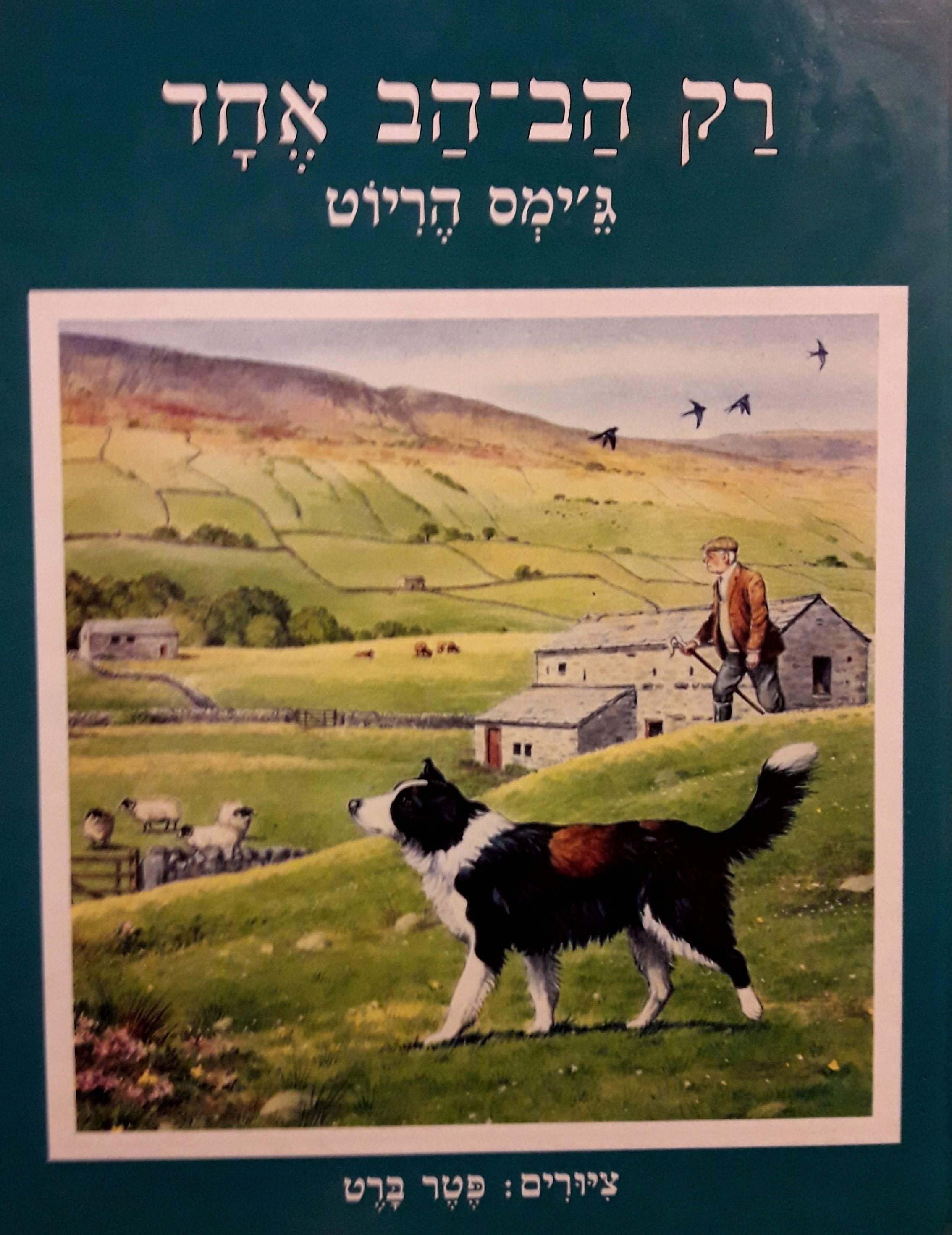רק הב הב אחד