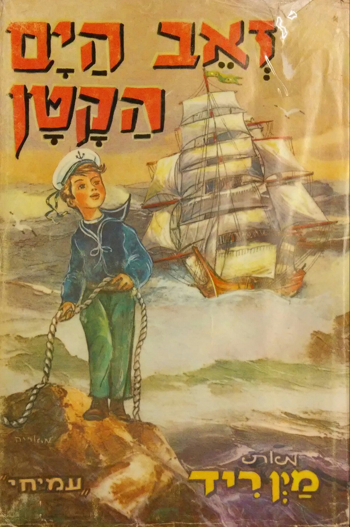 זאב הים הקטן