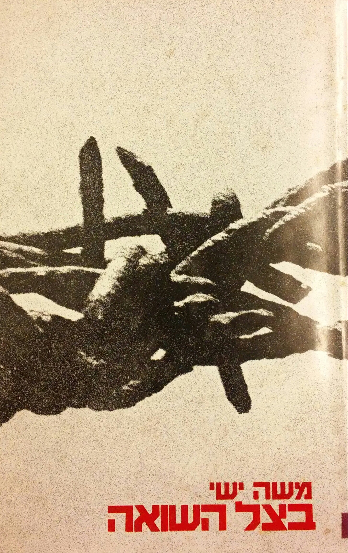 בצל השואה / רשמי שליחות בפולין 1946-1945