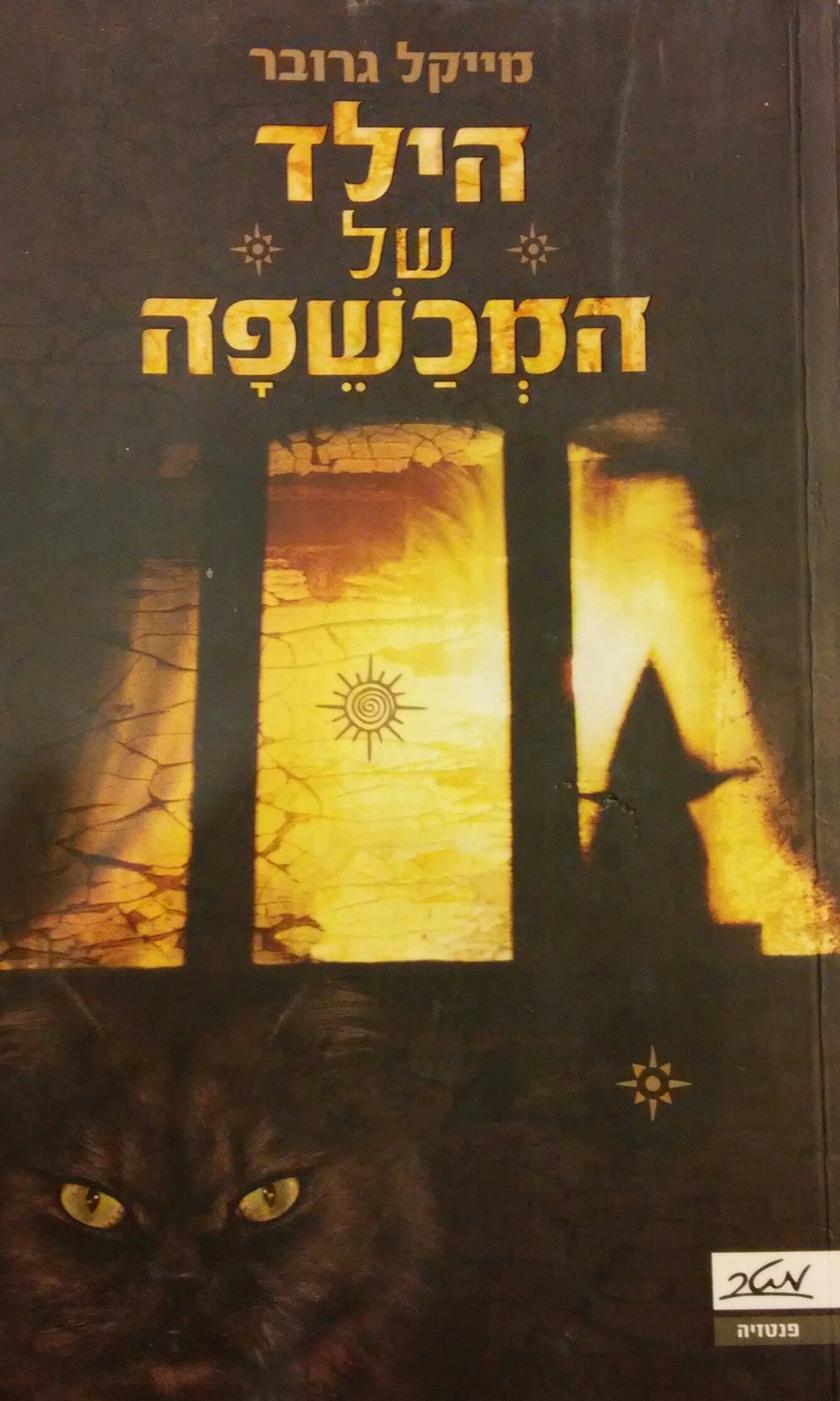 הילד של המכשפה
