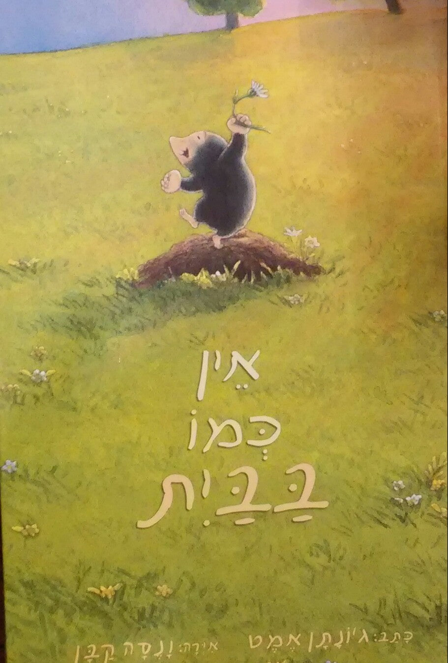 אין כמו בבית