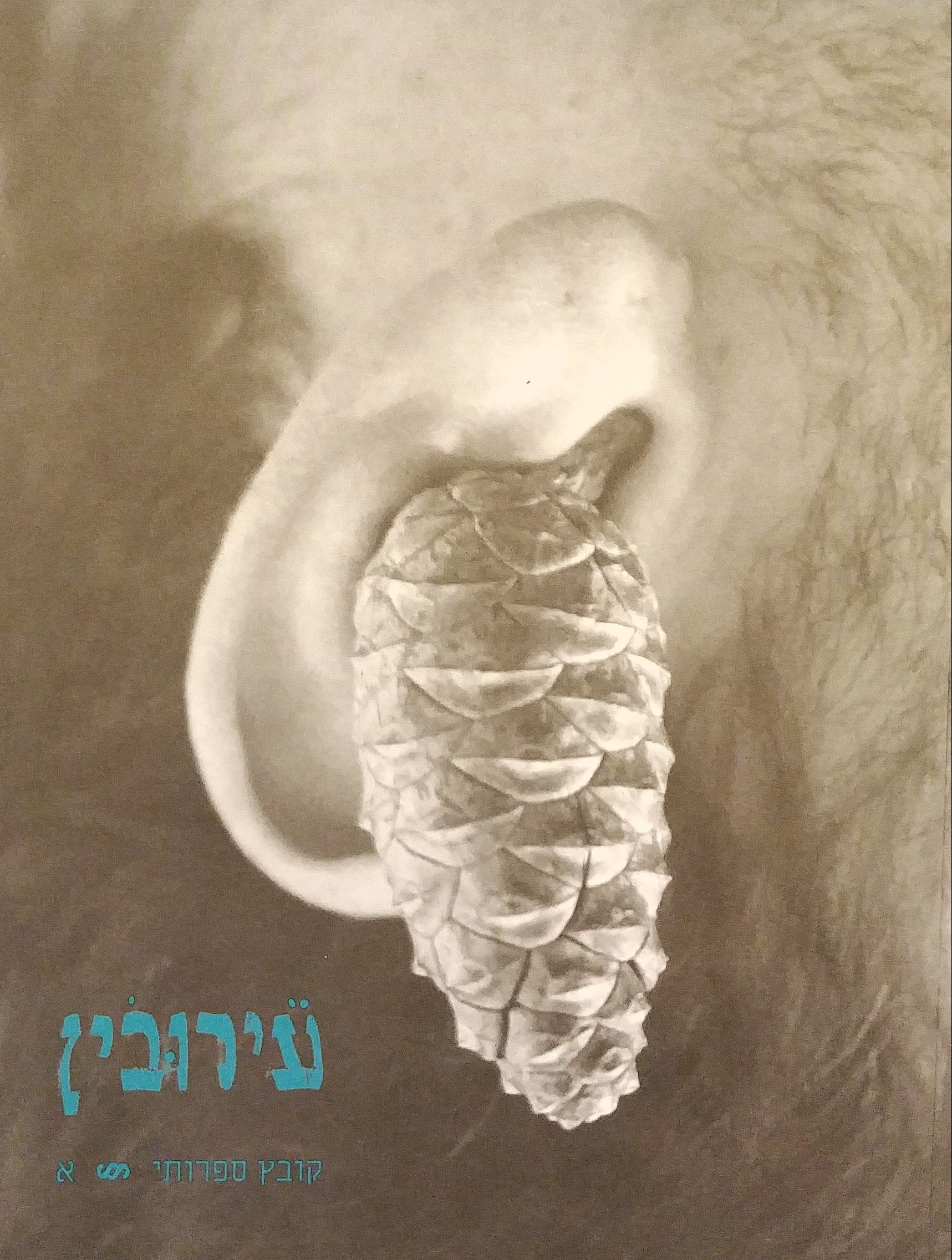 עירובין / קובץ ספרותי א'