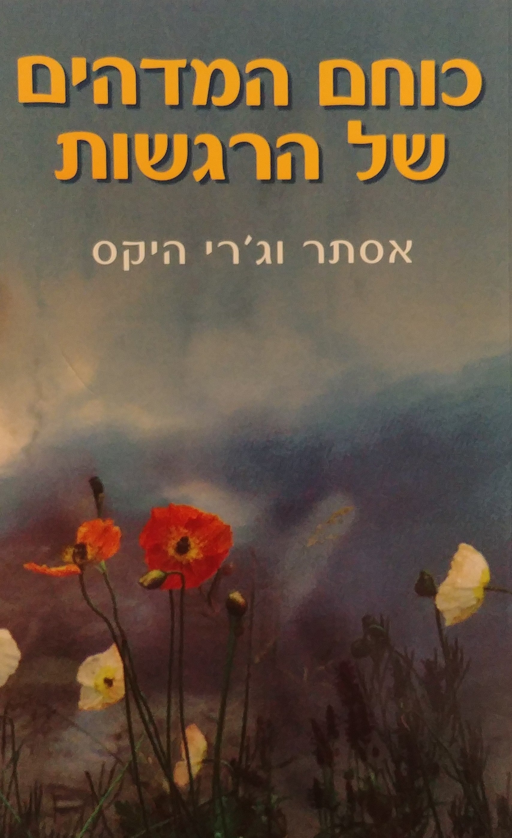 כוחם המדהים של הרגשות / תנו לרגשותיכם להנחות אתכם