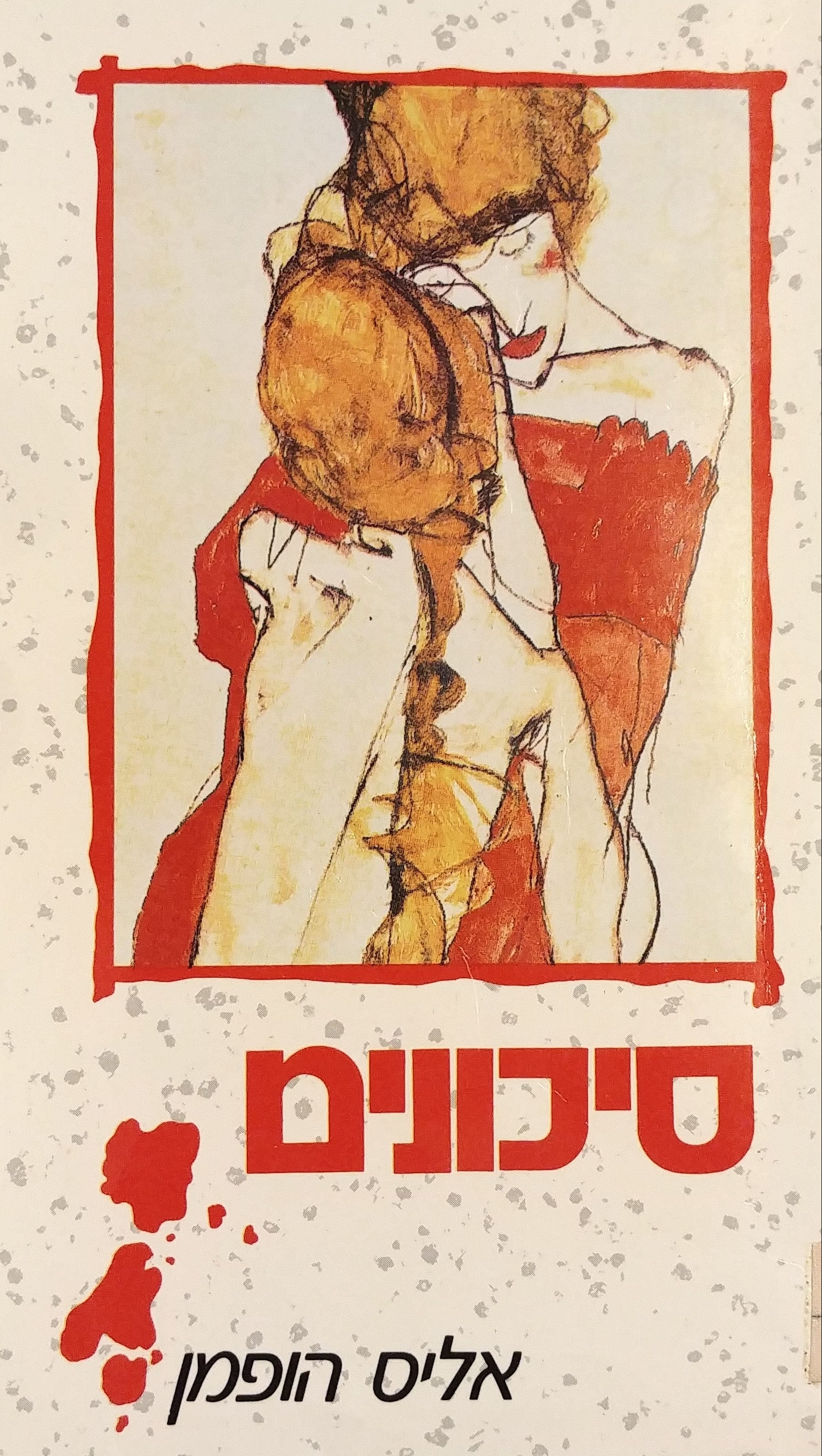 סיכונים