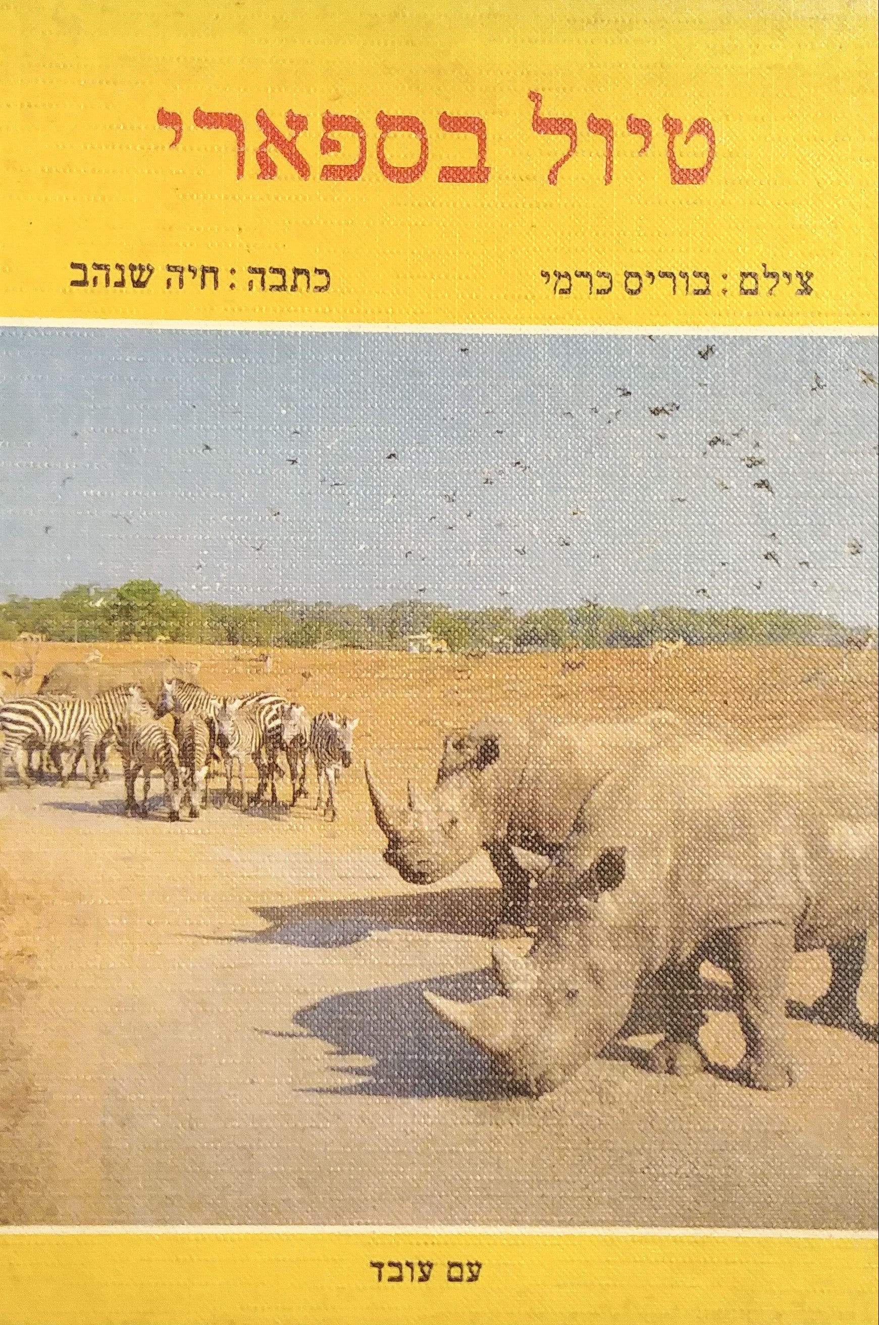 טיול בספארי