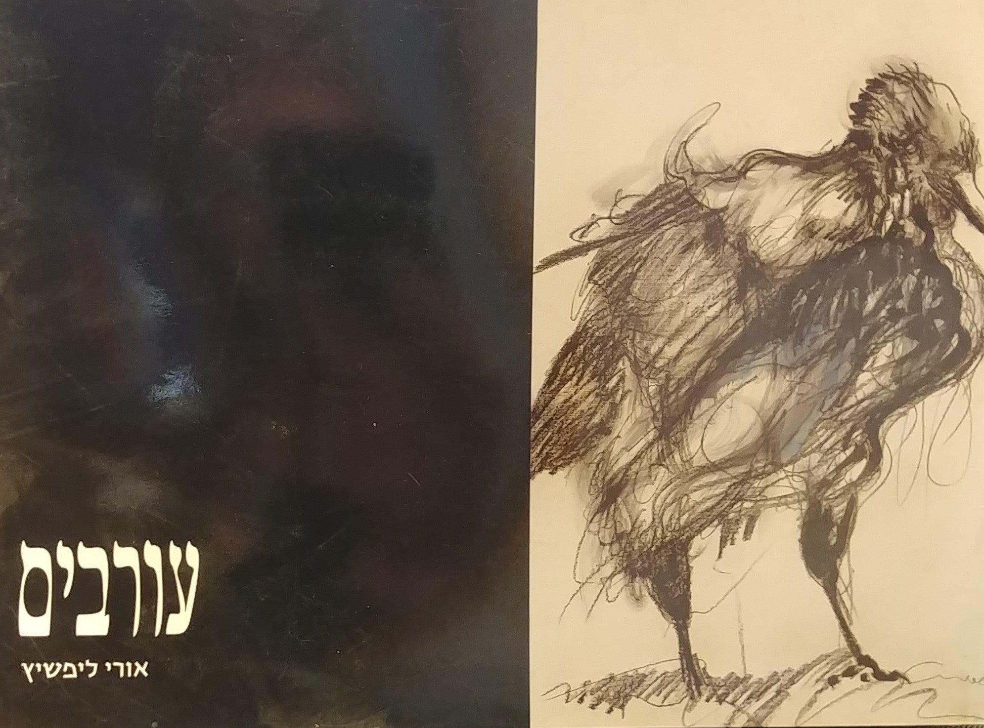עורבים