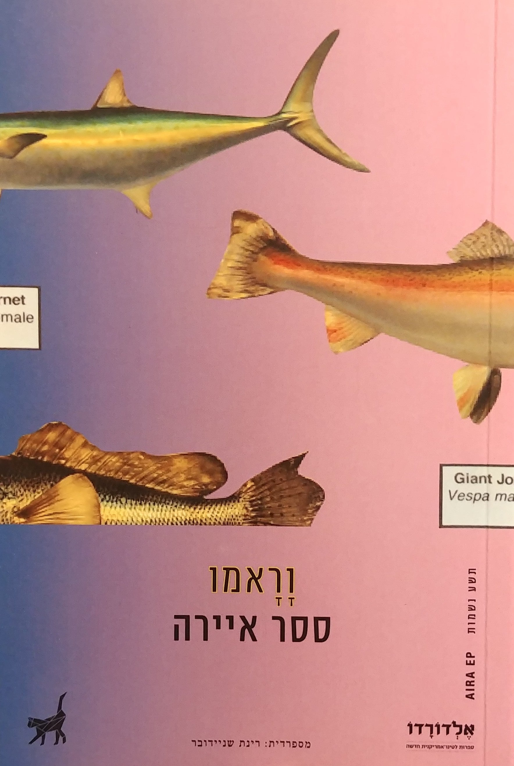 וראמו