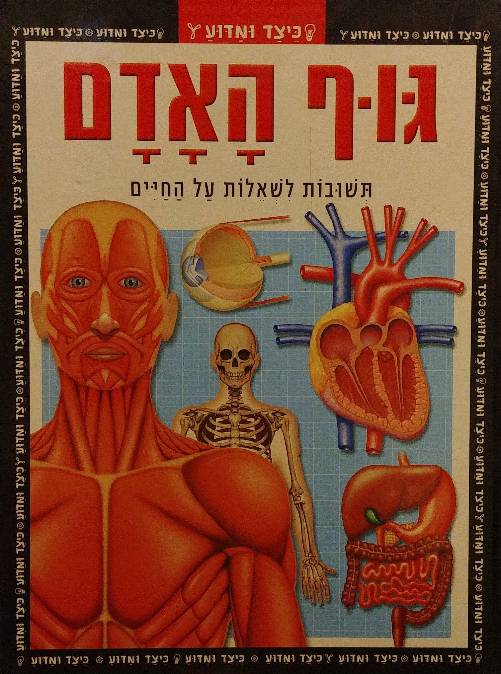 גוף האדם / תשובות לשאלות על החיים