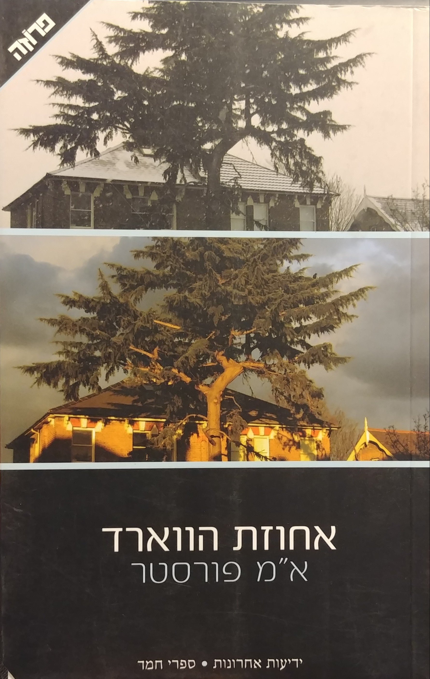 אחוזת הווארד
