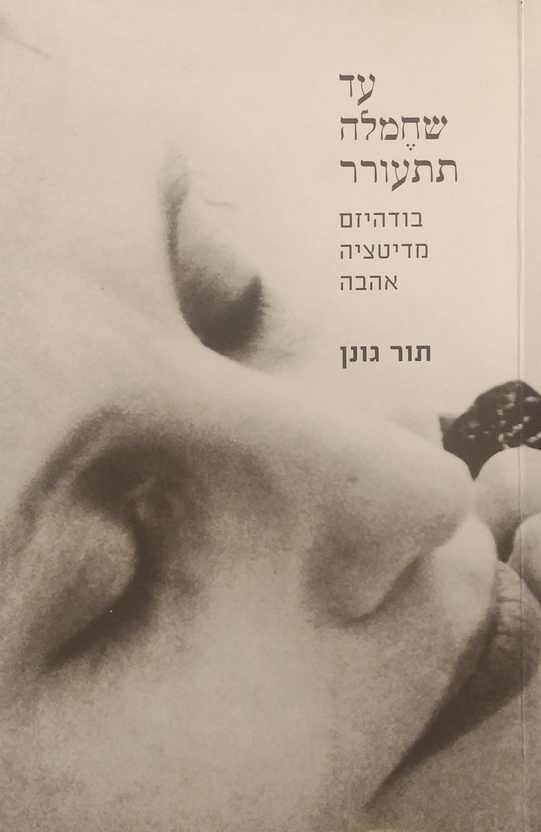 עד שחמלה תתעורר