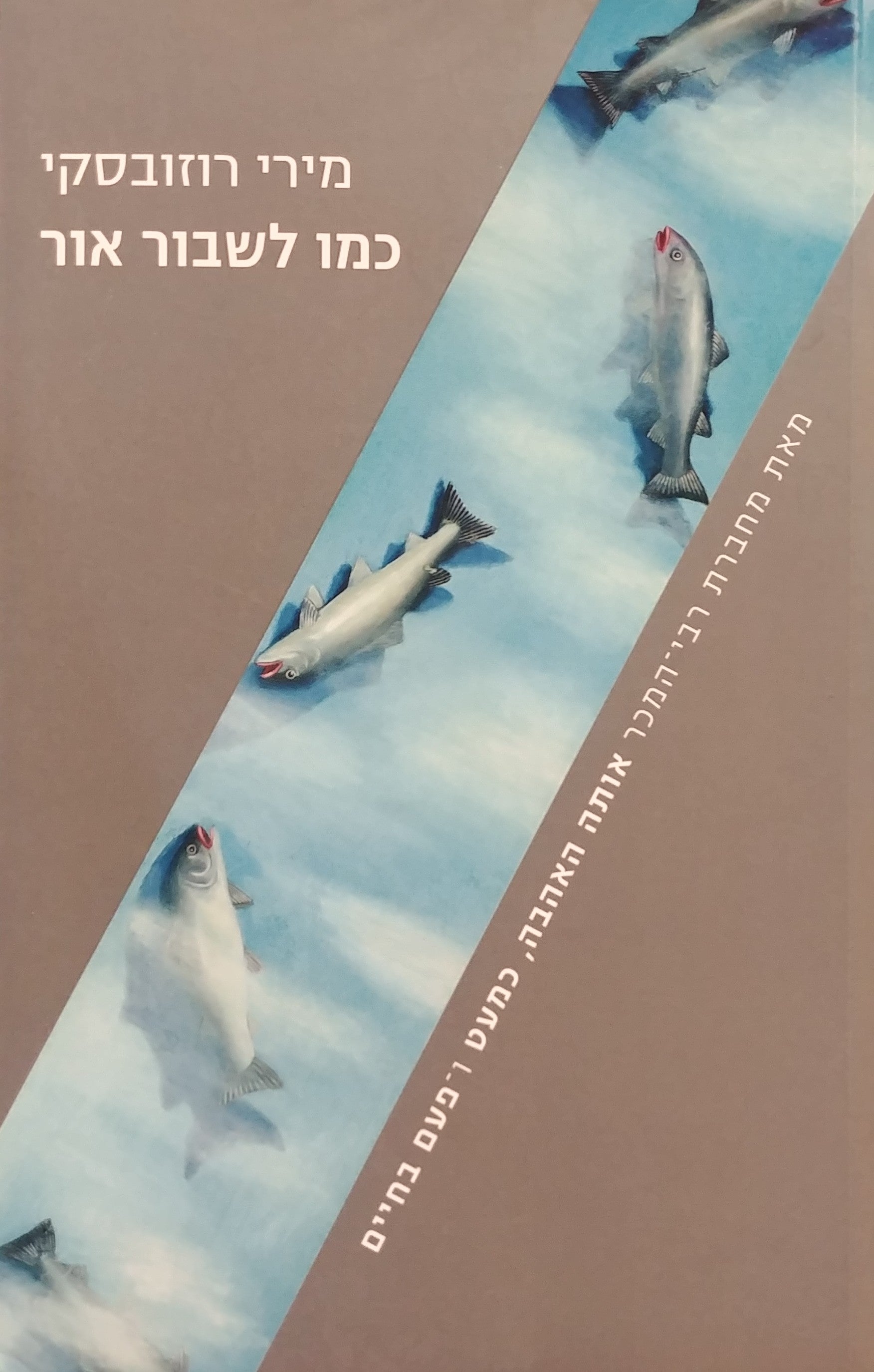 כמו לשבור אור