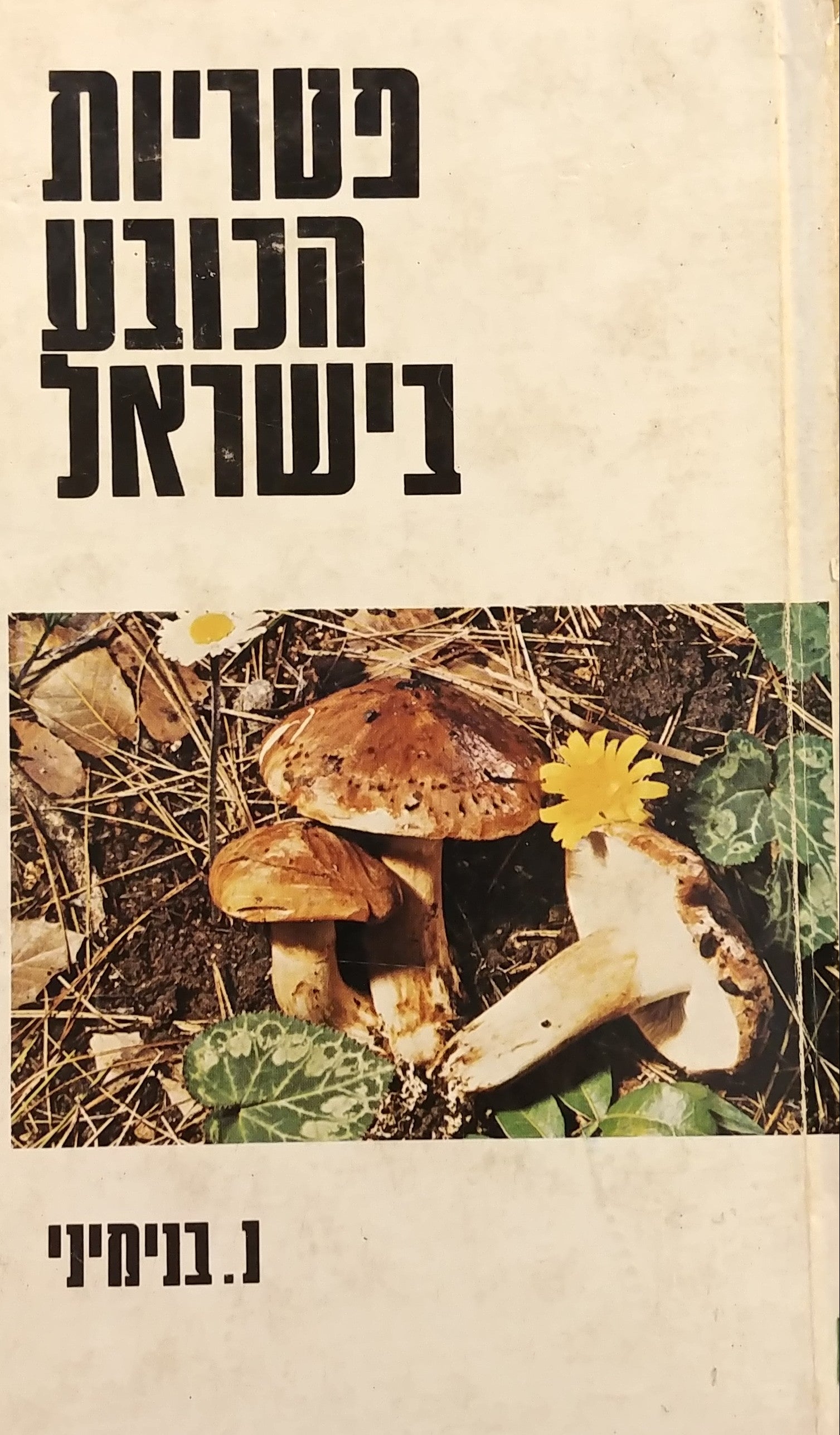 פטריות הכובע בישראל: סדרת הפקועיים - Agaricales / כולל מגדיר של 270 מינים שבארץ, בלוית 96 תמונות צבעוניות ו-64 תמונות בשחור-לבן
