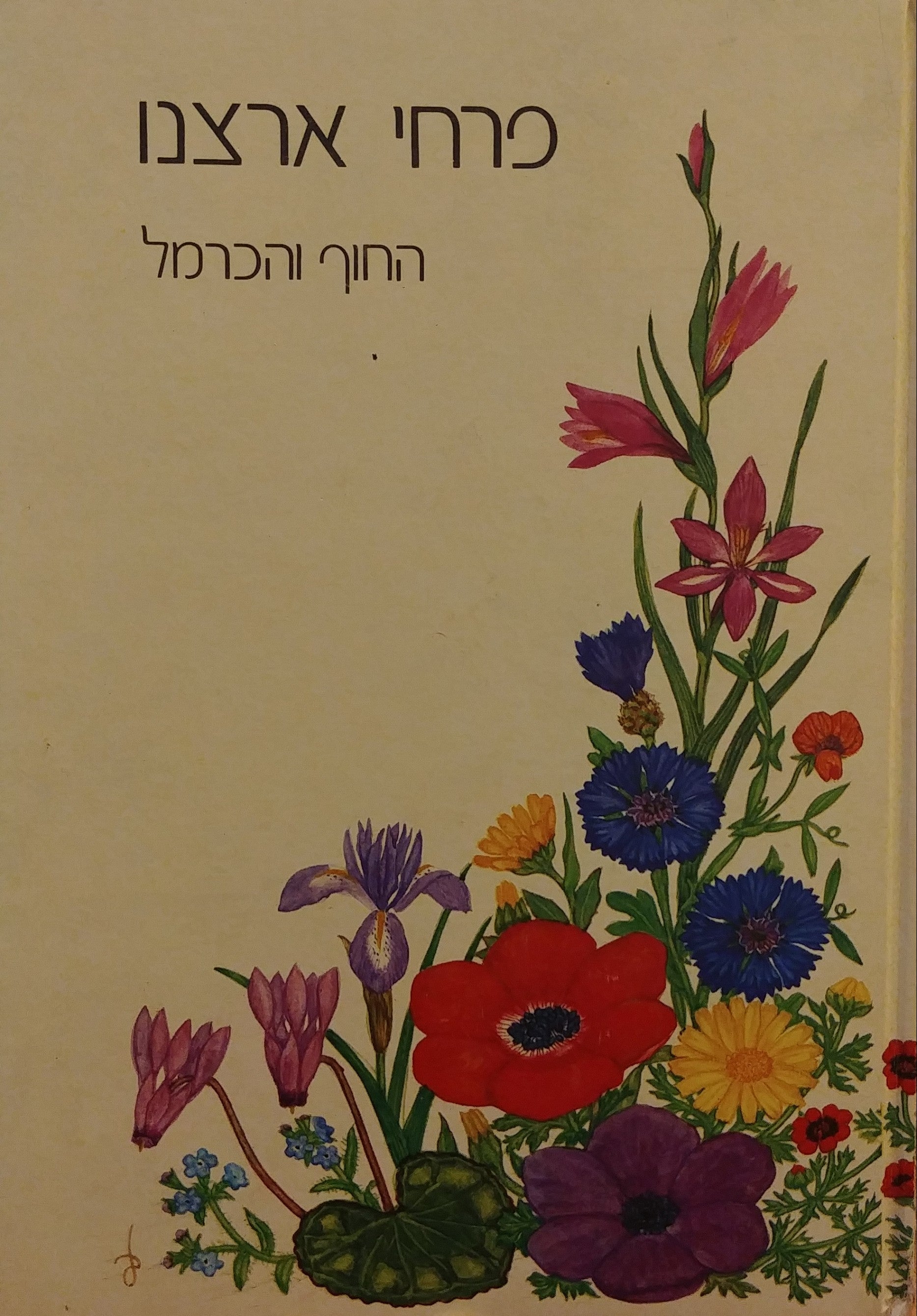 פרחי ארצנו / פרחי החוף והכרמל - עשרים וחמשה פרחי בר