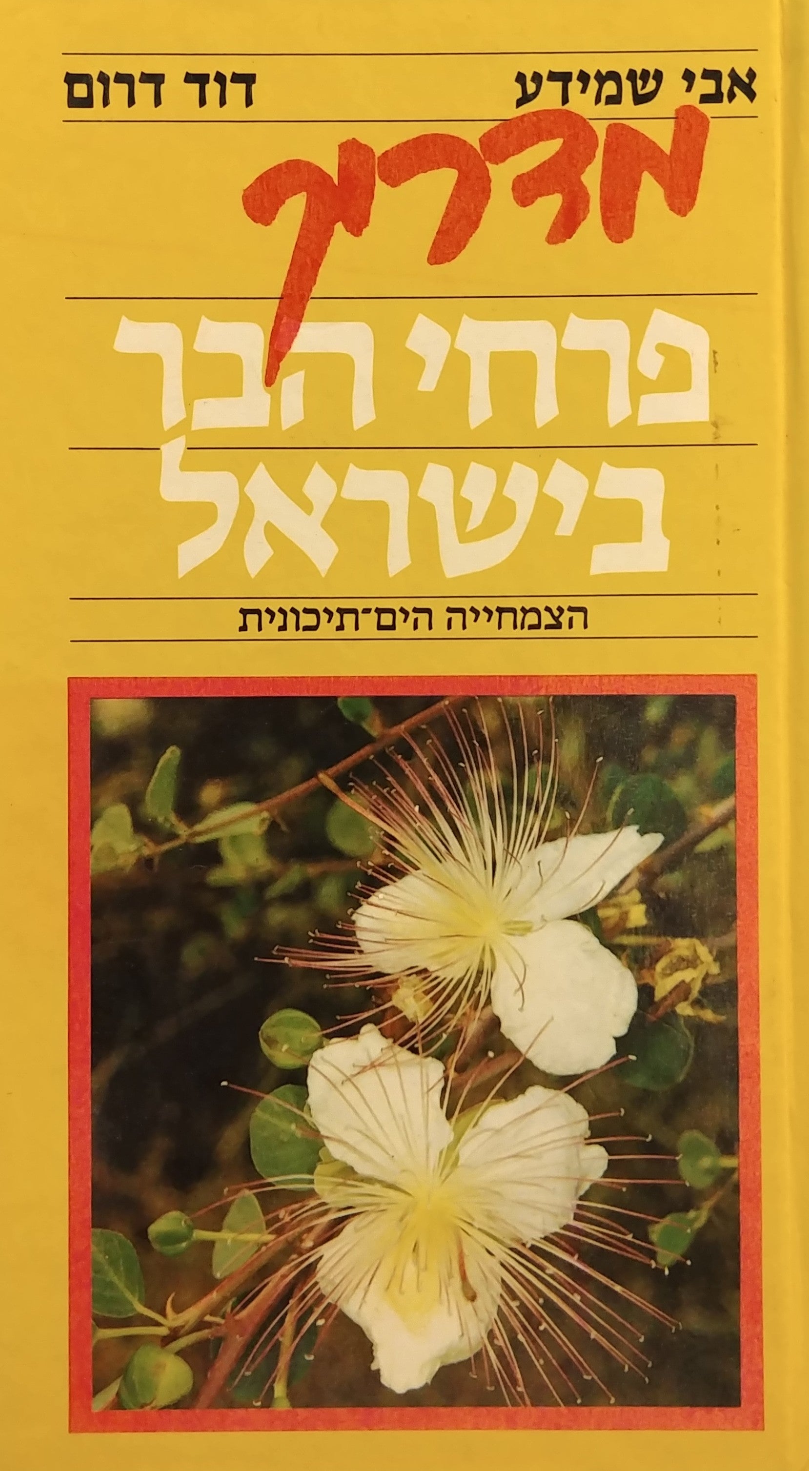 מדריך פרחי הבר בישראל, [כרך א'] : הצמחייה הים-תיכונית / צילומים: דוד דרום