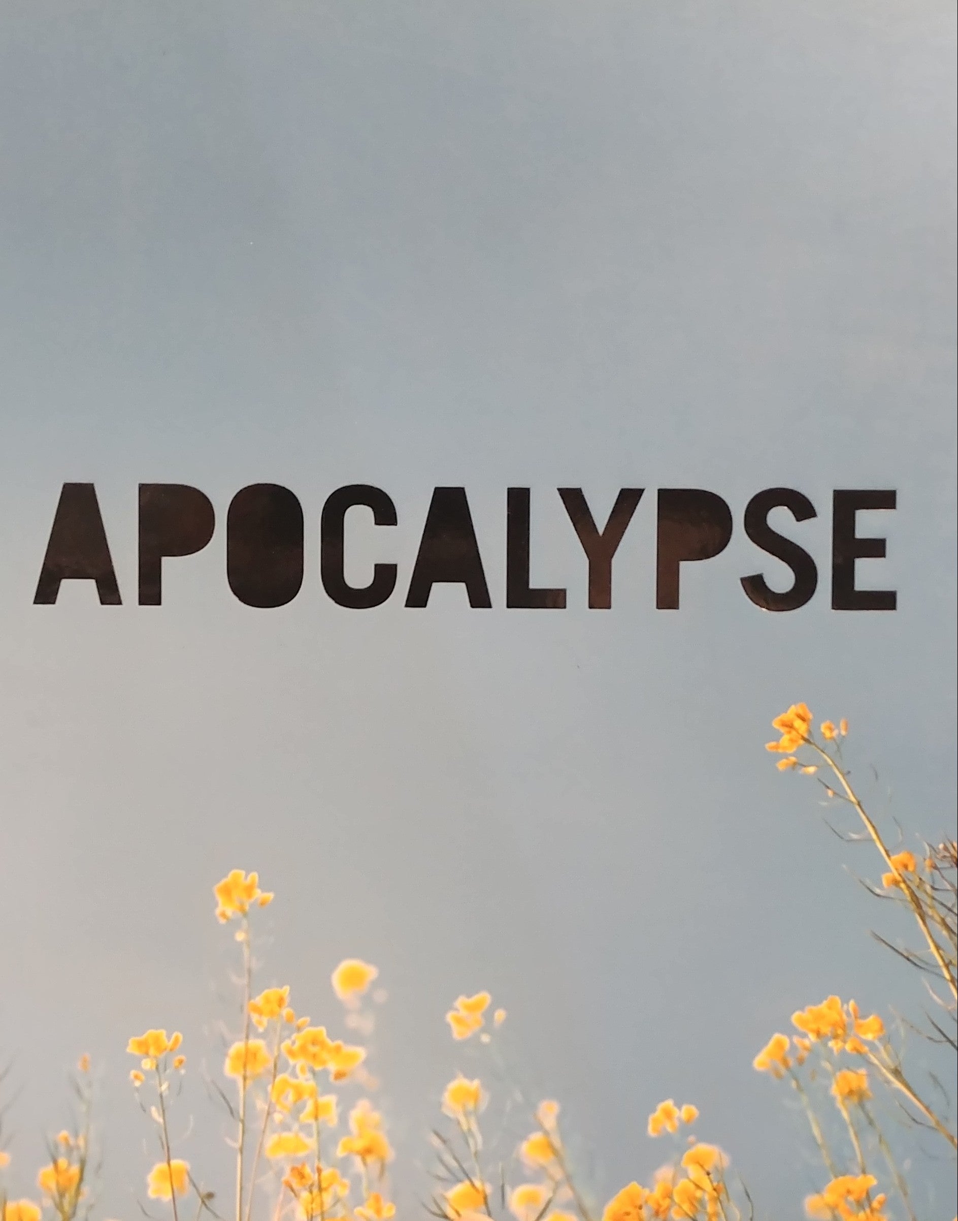 APOCALYPSE / BEAUTY AND HORROR IN CONTEMPORARY ART