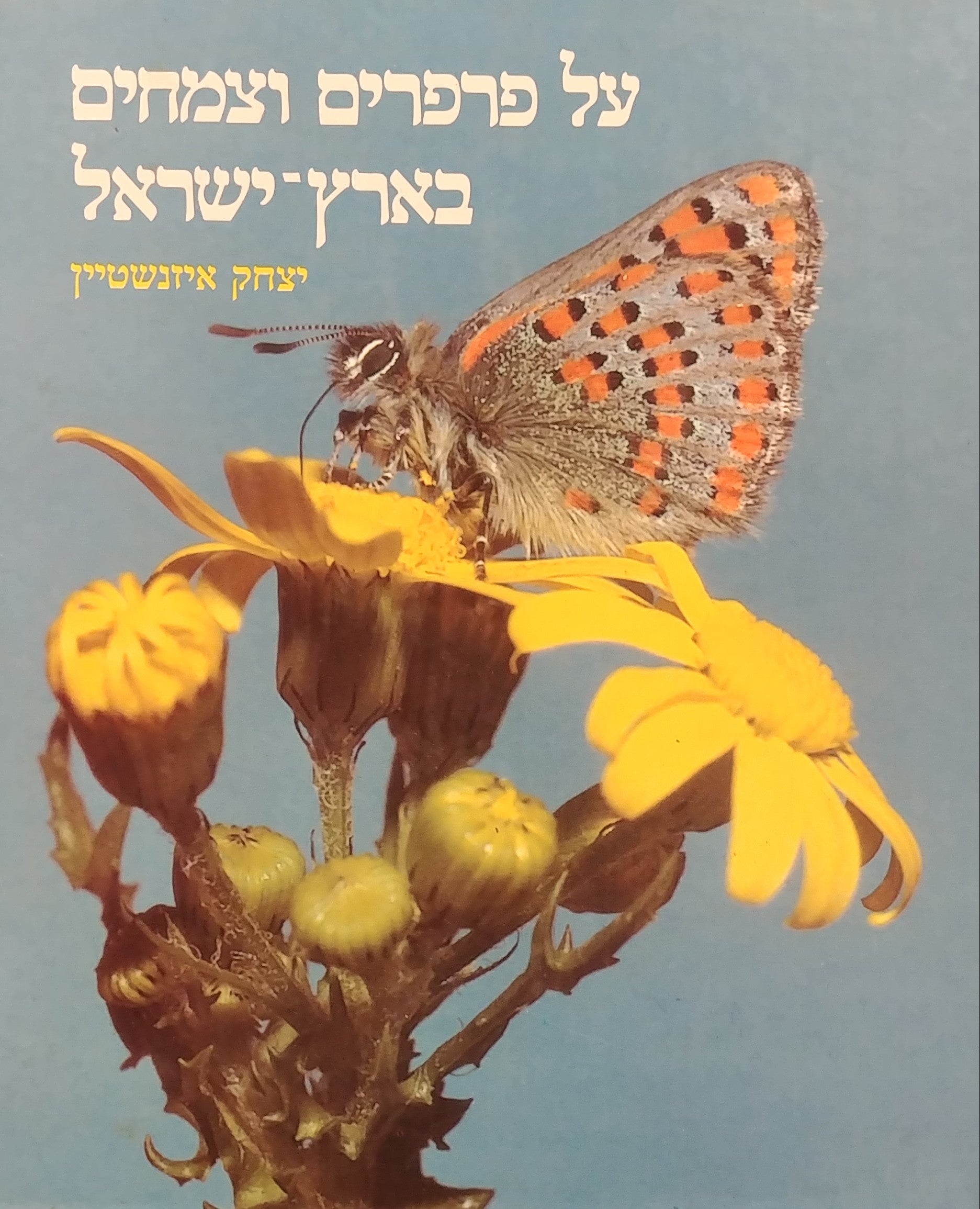 על פרפרים וצמחים בארץ ישראל