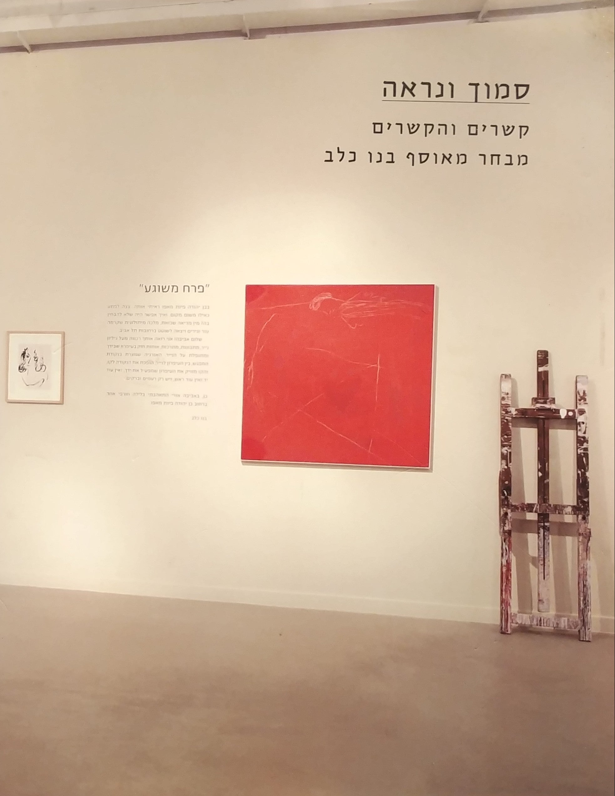 סמוך ונראה / קשרים והקשרים - מבחר מאוסף בנו כלב
