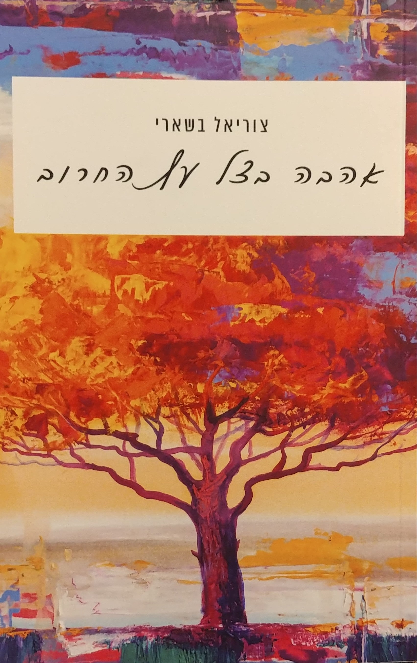 אהבה בצל עץ החרוב