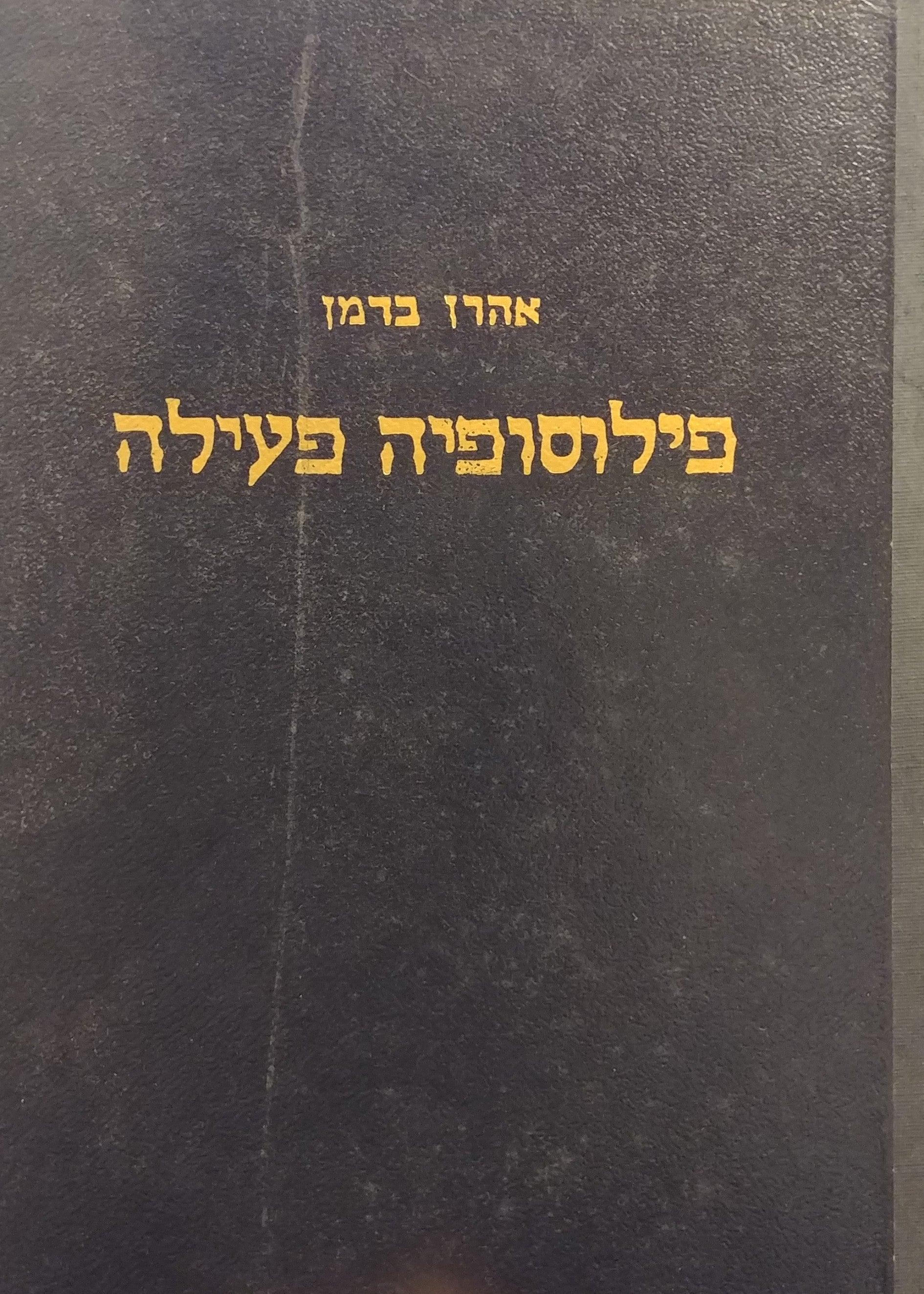 פילוסופיה פעילה / מסות בפילוסופיה בפסיכולוגיה ובחינוך