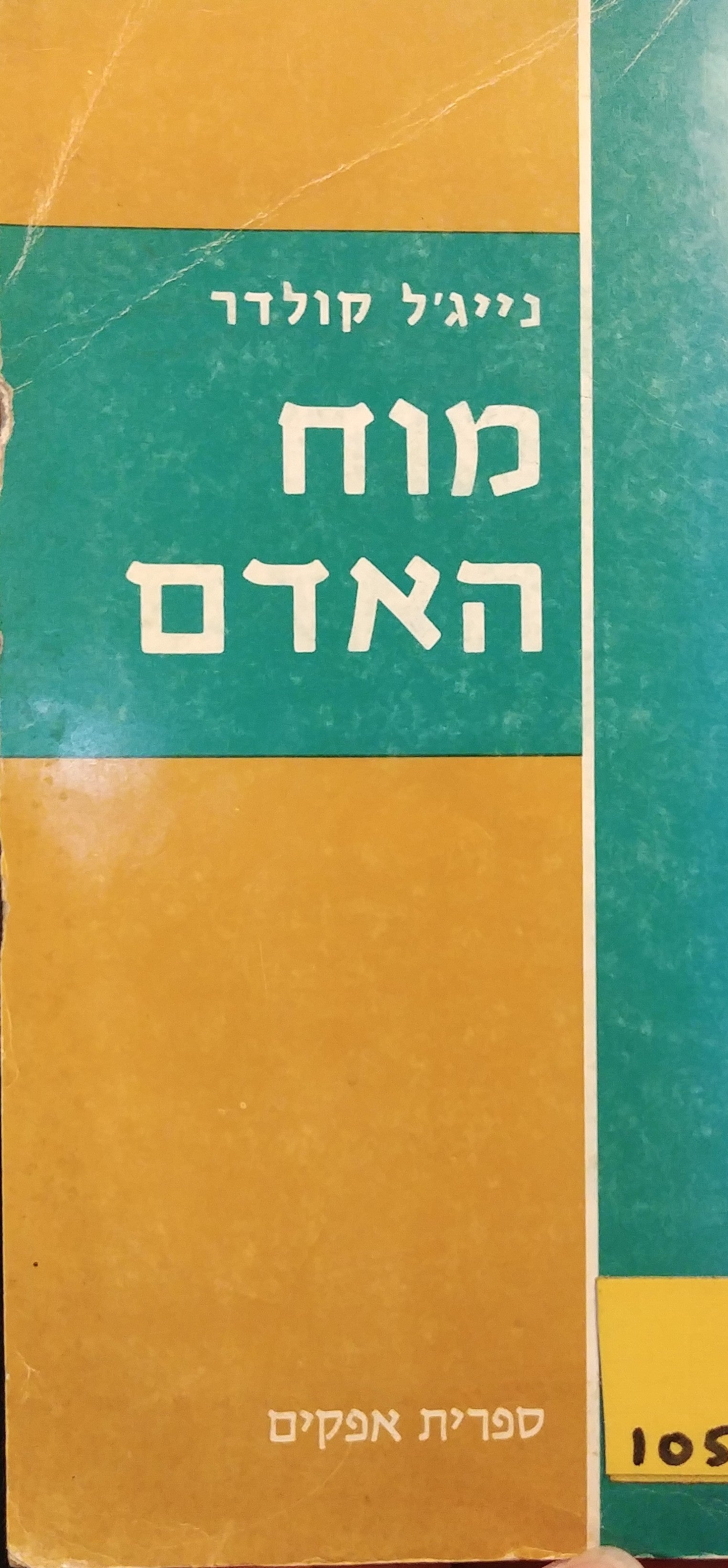 מוח האדם