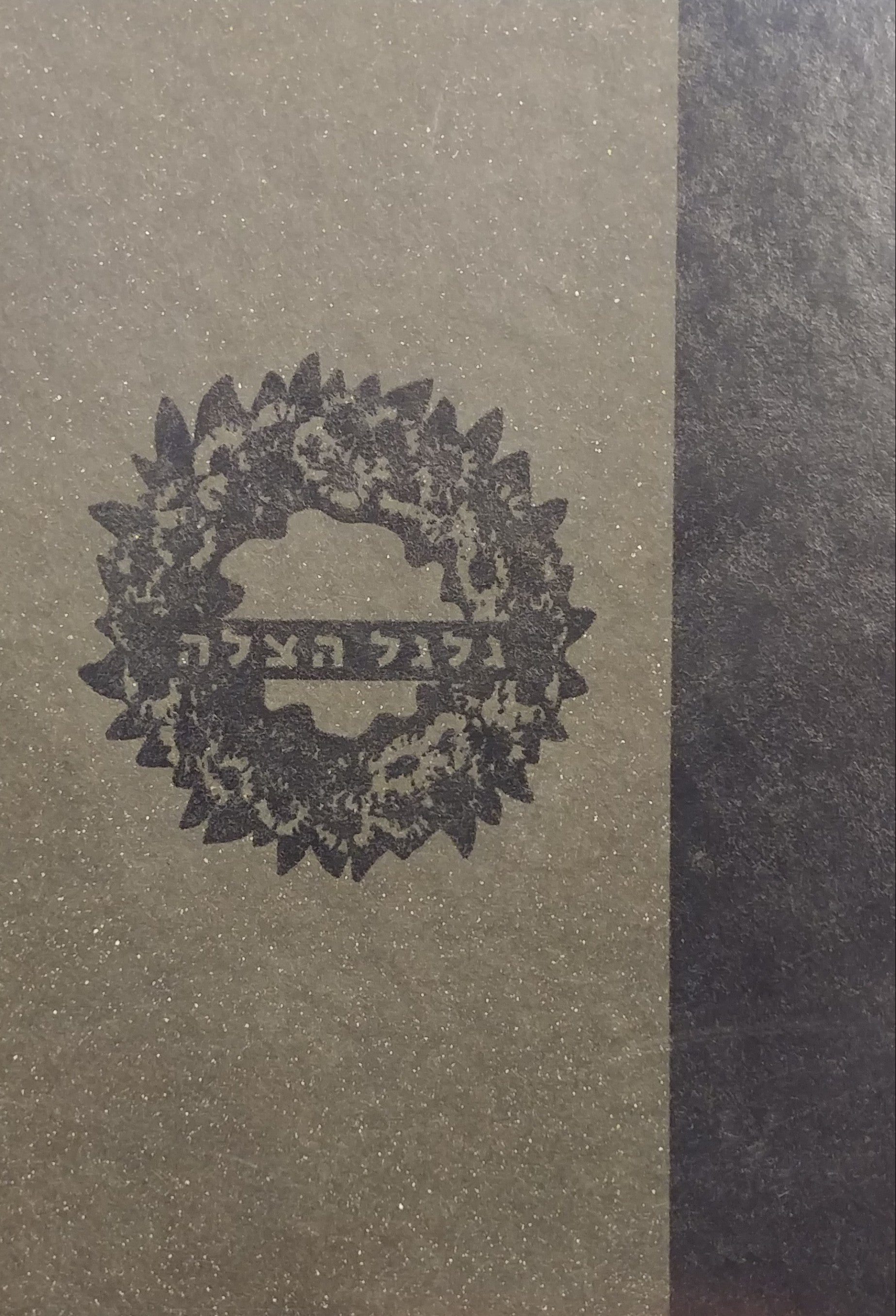 גלגל הצלה
