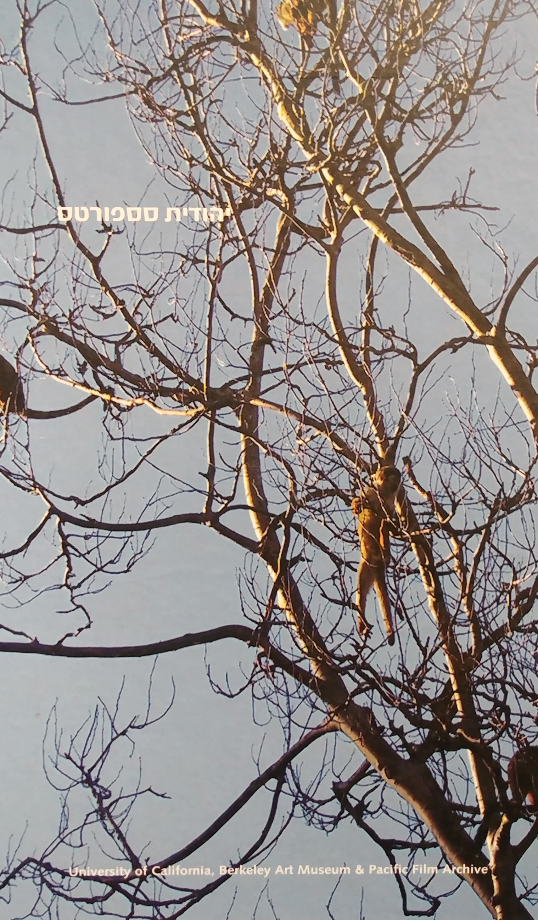 הנהר