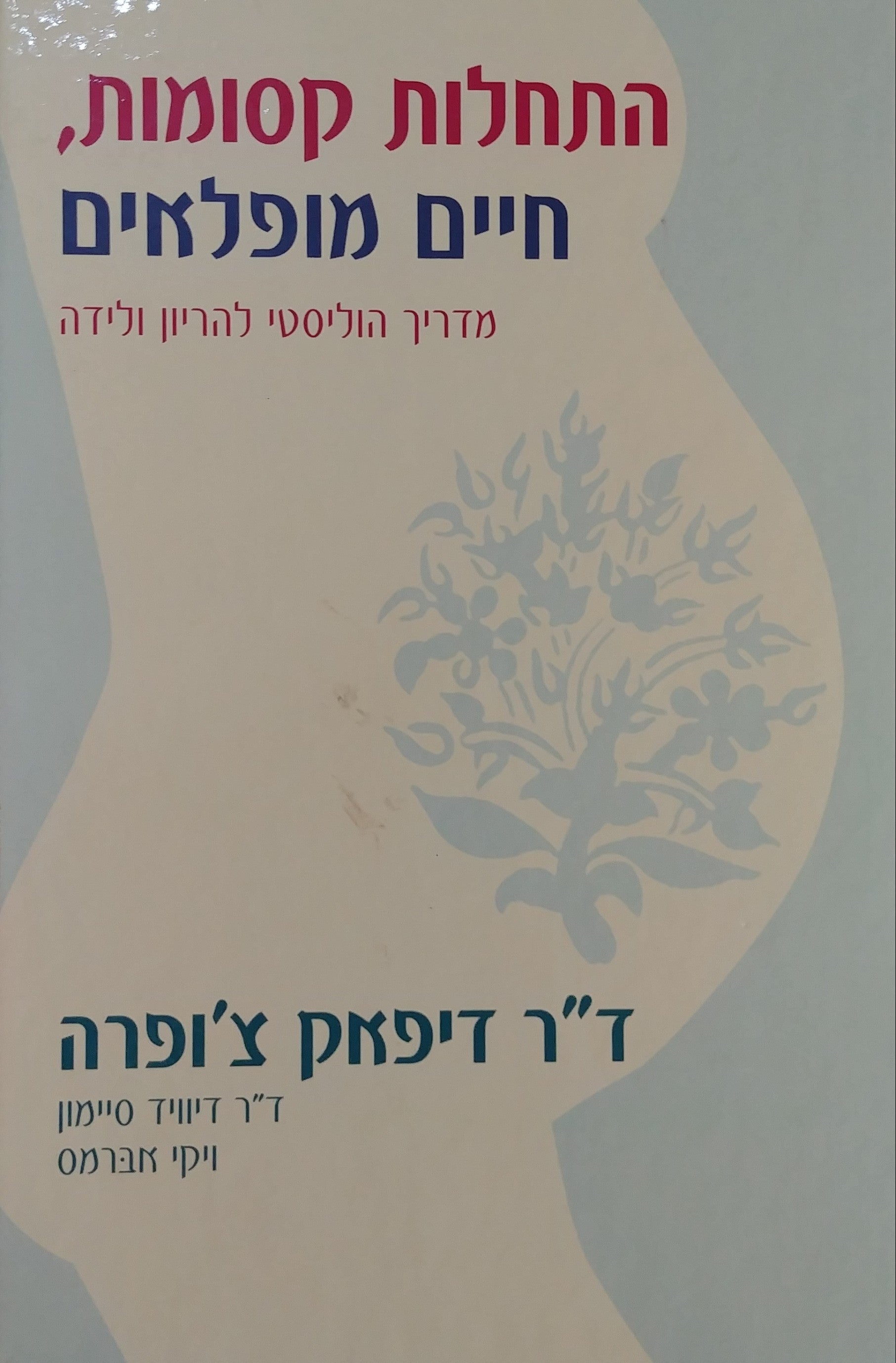התחלות קסומות חיים מופלאים / מדריך הוליסטי להריון ולידה