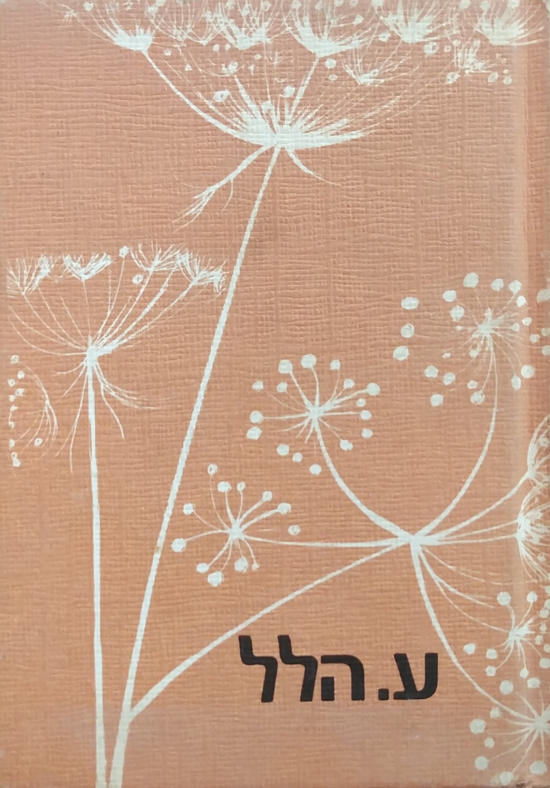 הודיה
