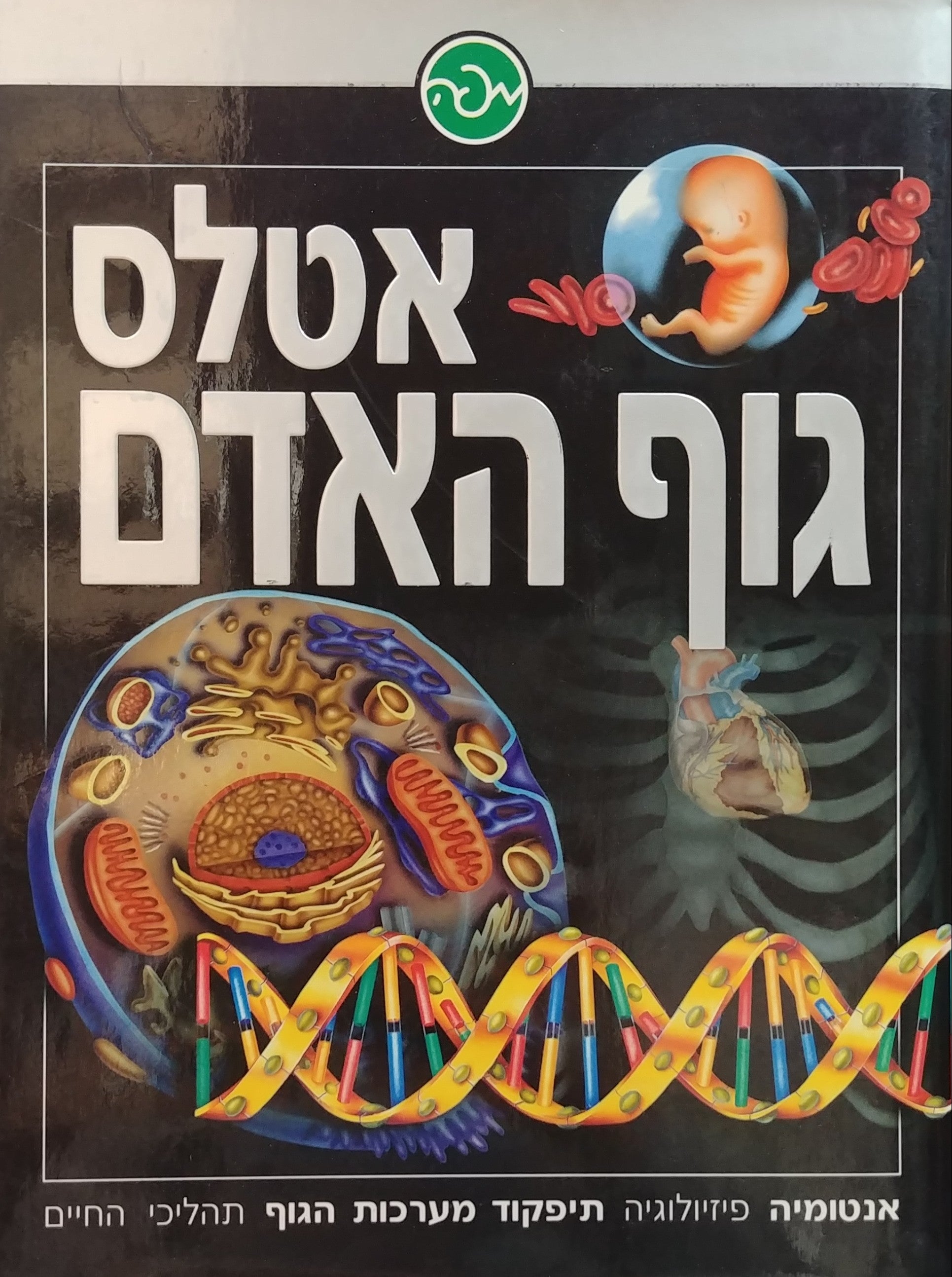 אטלס גוף האדם