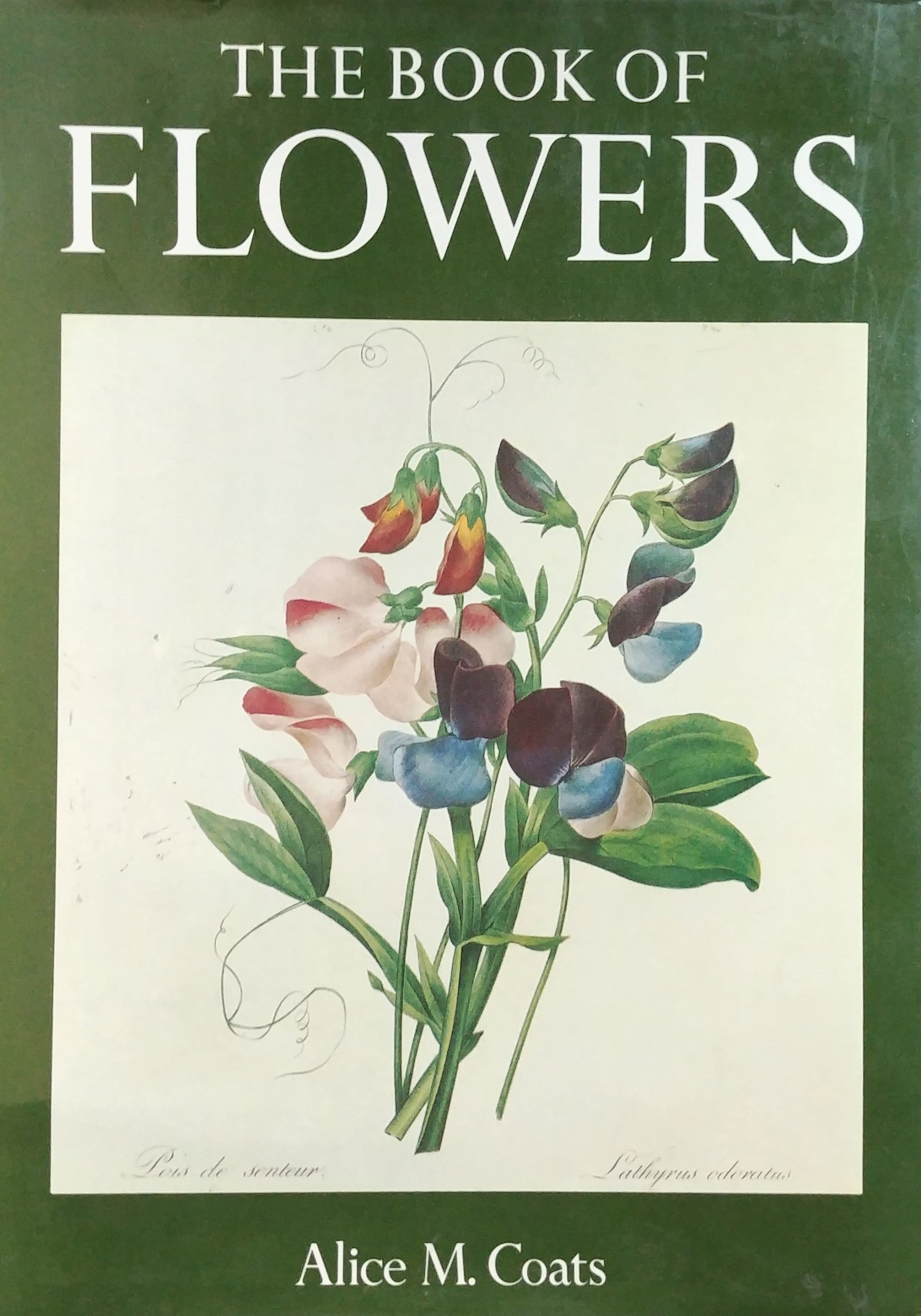 THE BOOK OF FLOWERS