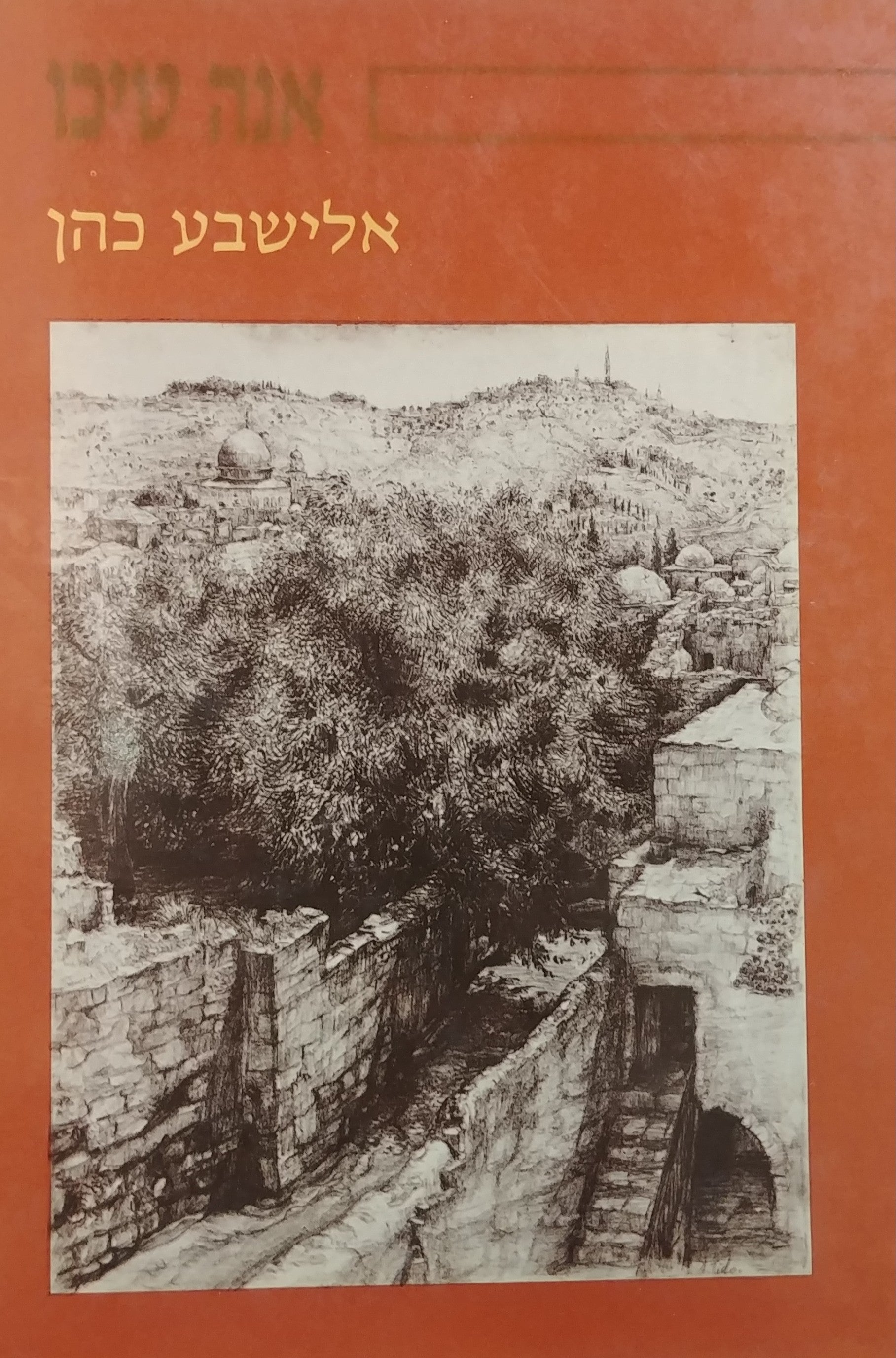 אנה טיכו