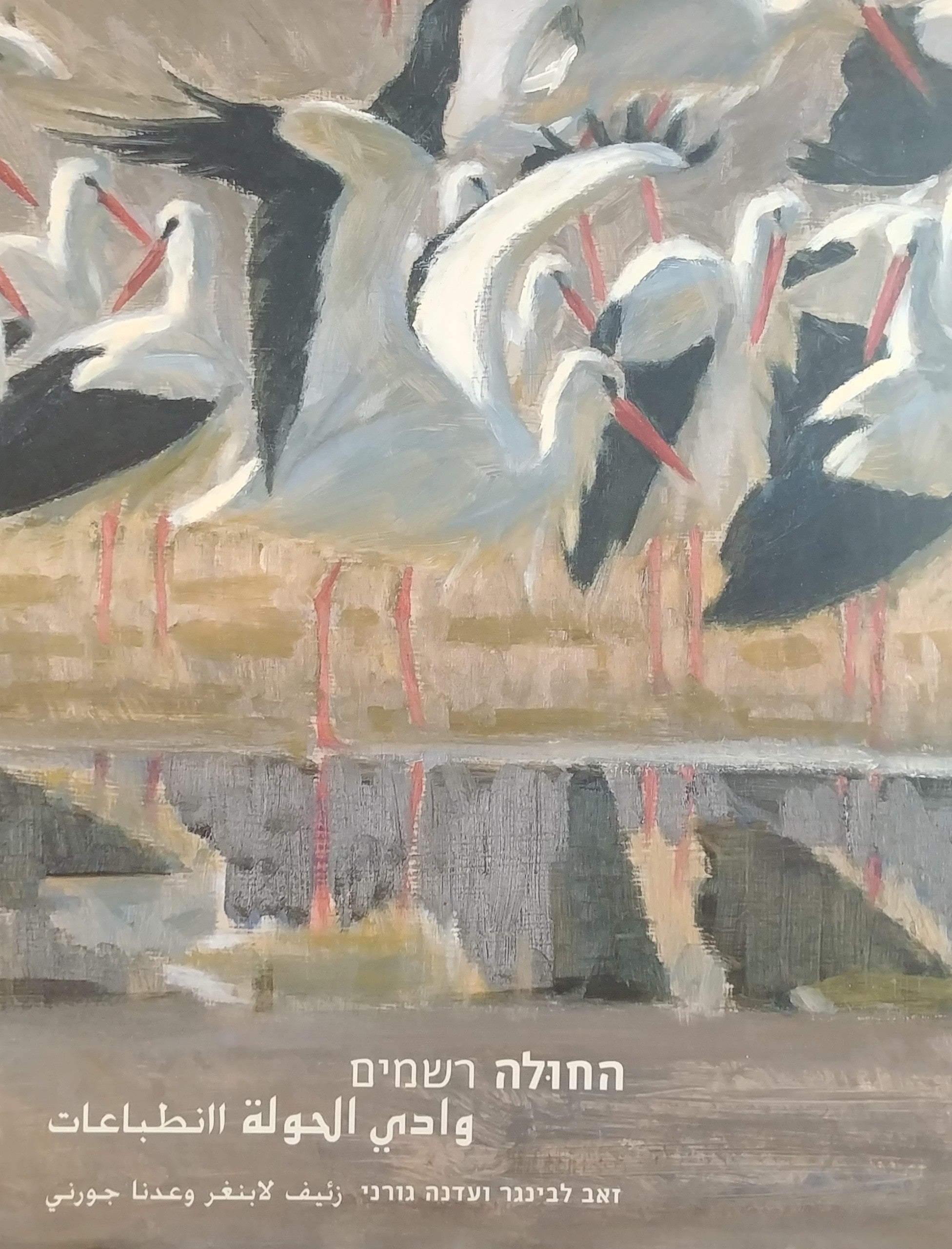 החולה / רשמים