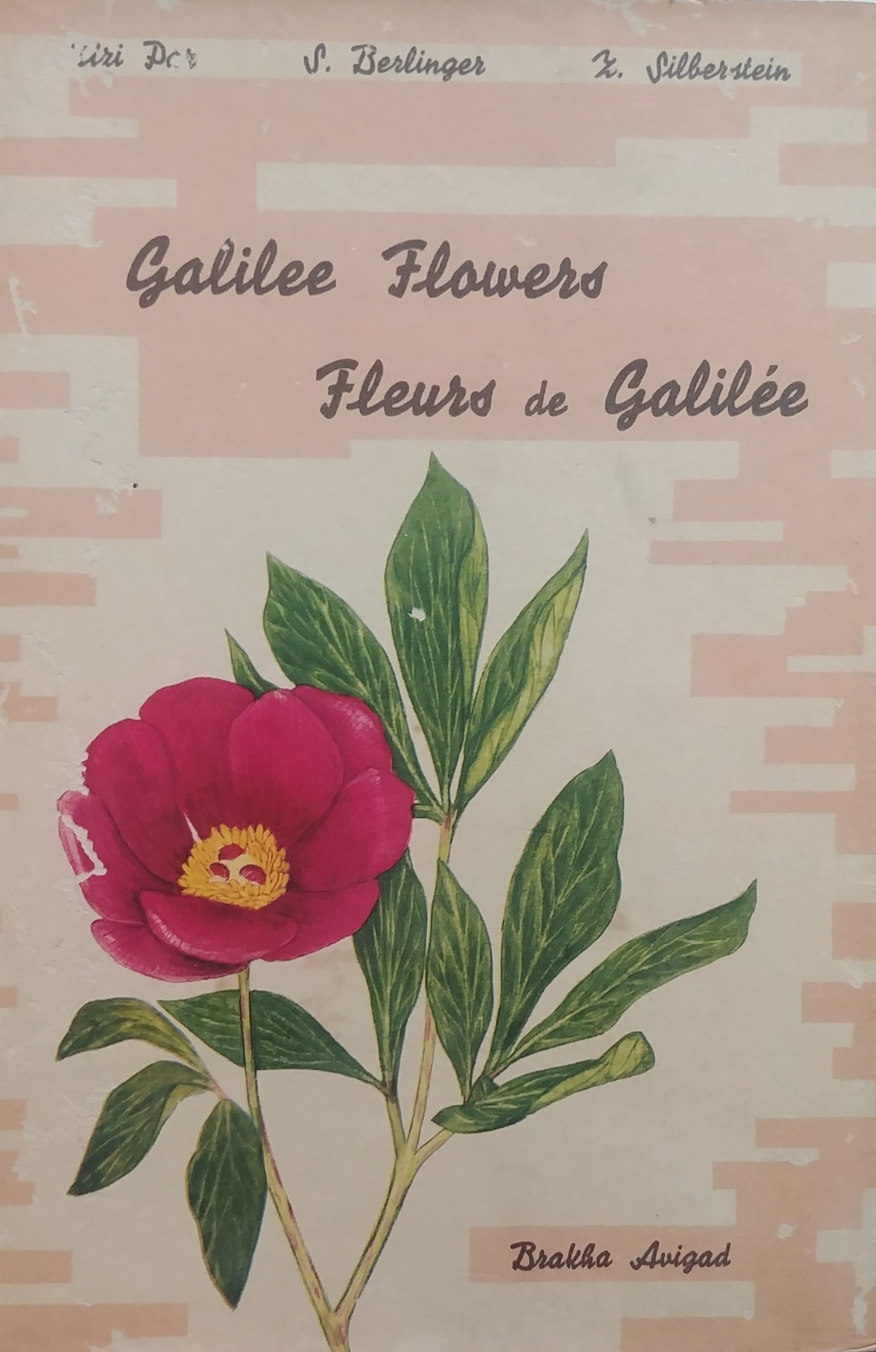 GALILEE FLOWERS