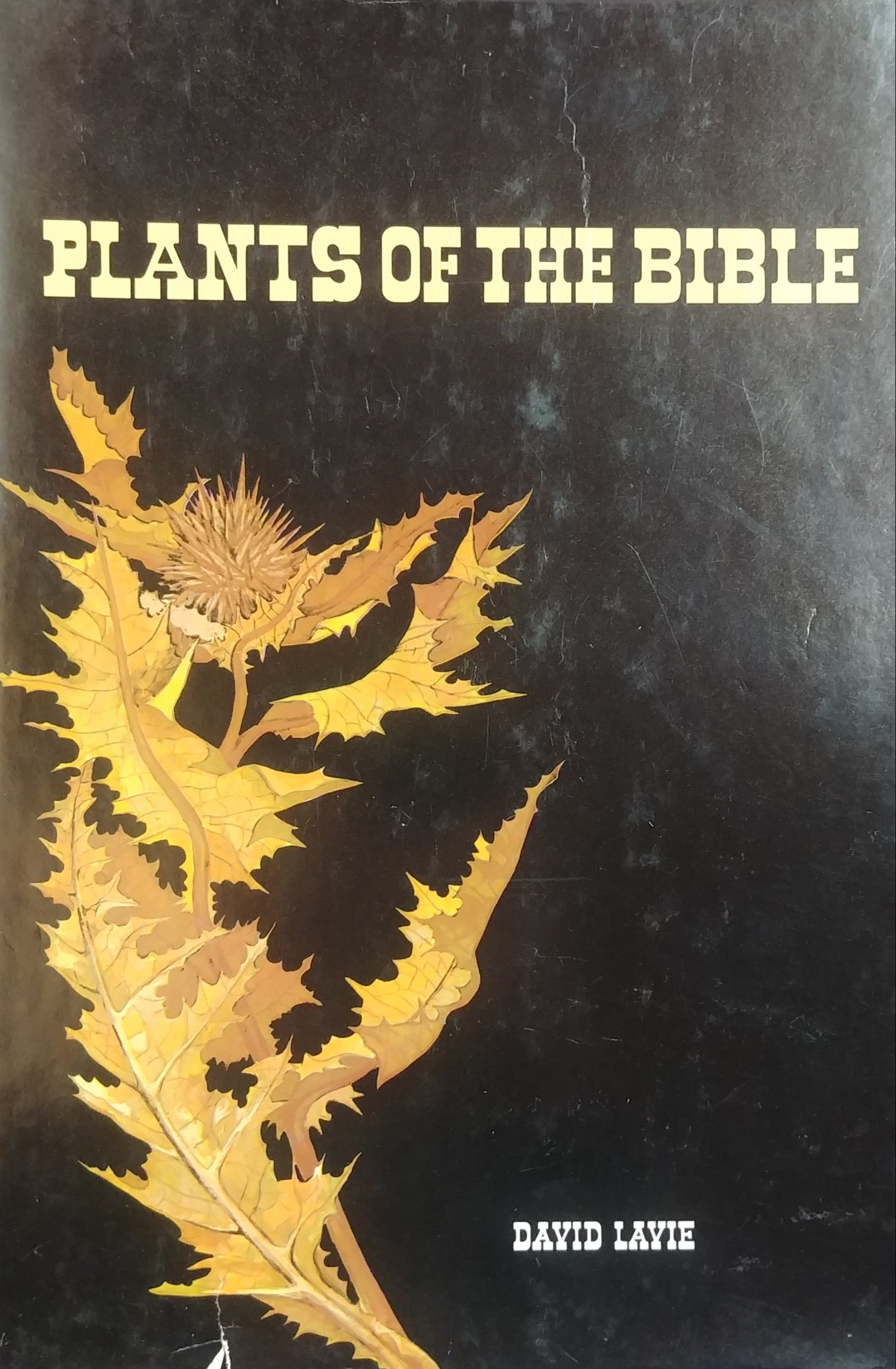 PLANTS OF THE BIBLE IN THEIR NATURAL SURROUNDINGS