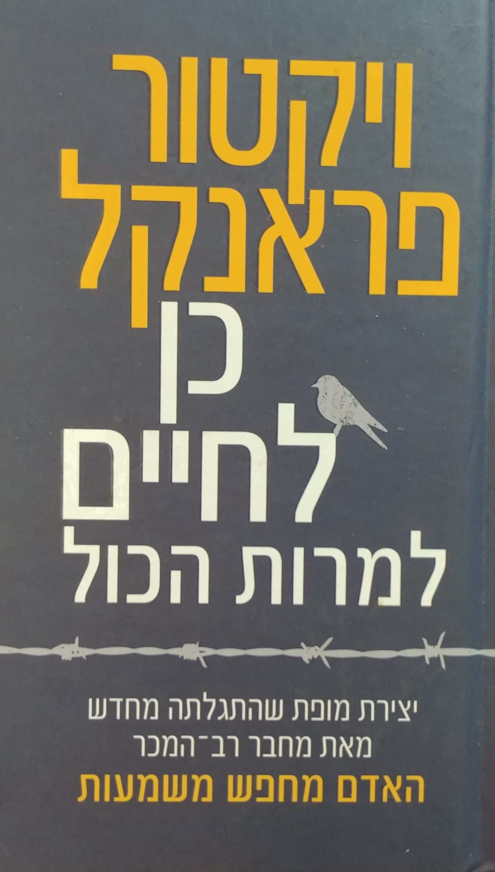 כן לחיים למרות הכול