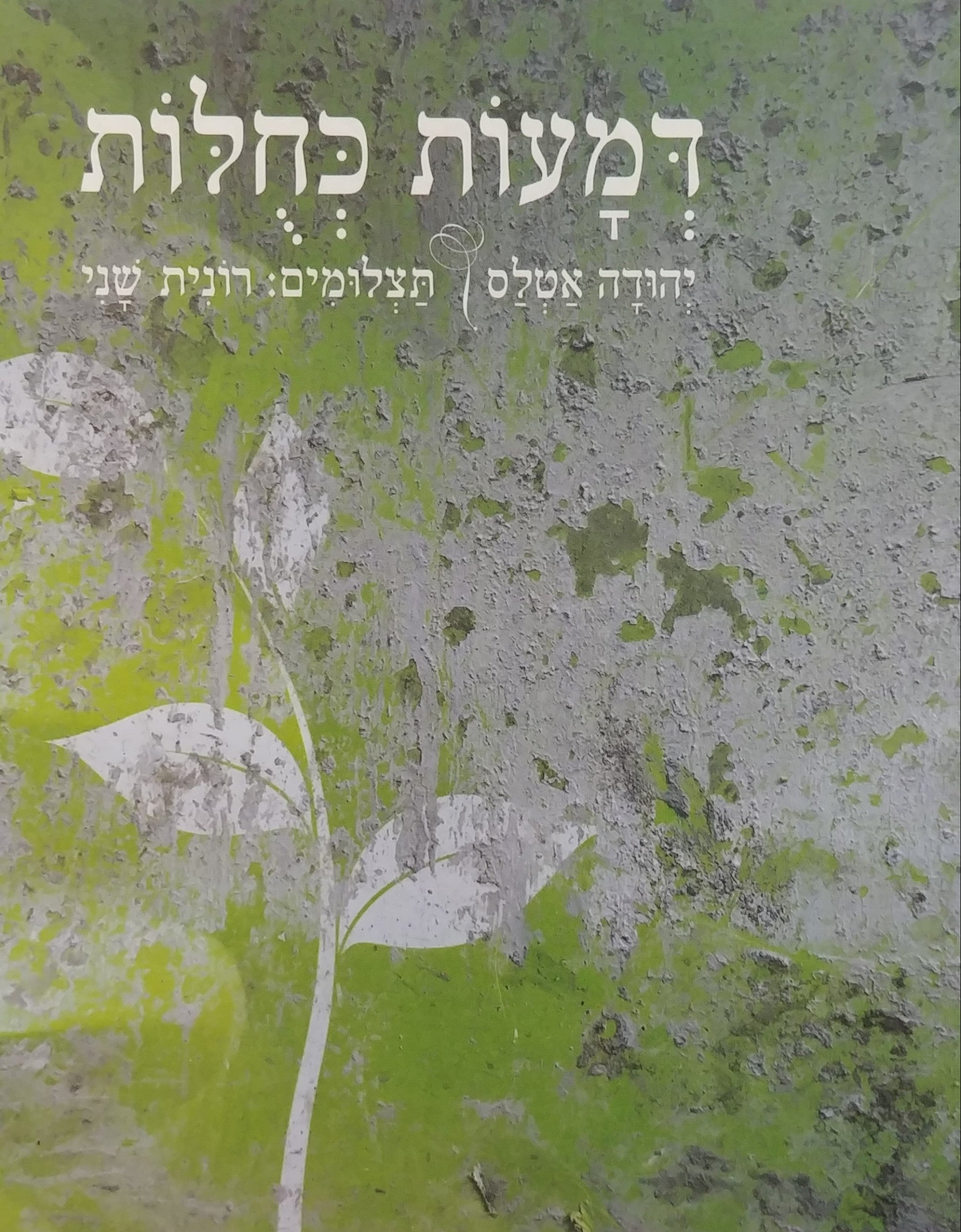 דמעות כחלות