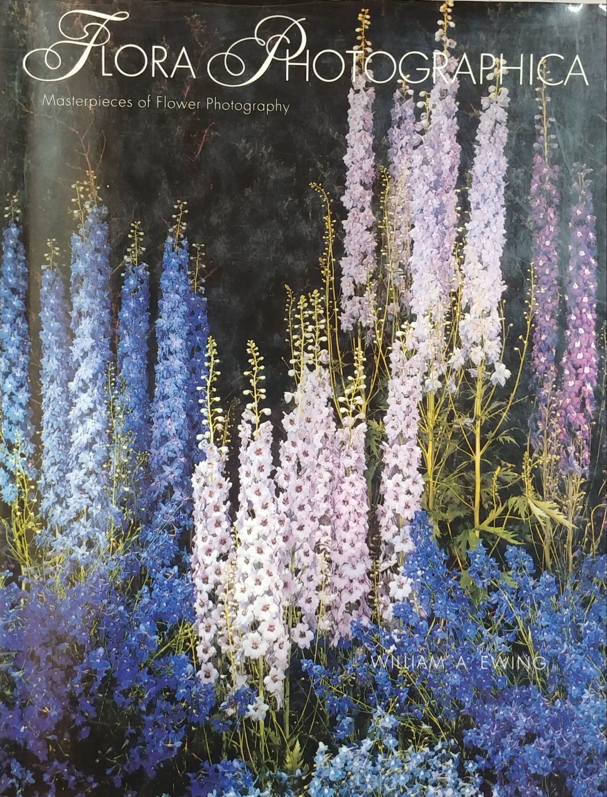 FLORA PHOTOGRAPHICA / MASTERPIECES OF FLOWER PHOTOGRAPHY FROM 1835 TO THE PRESENT