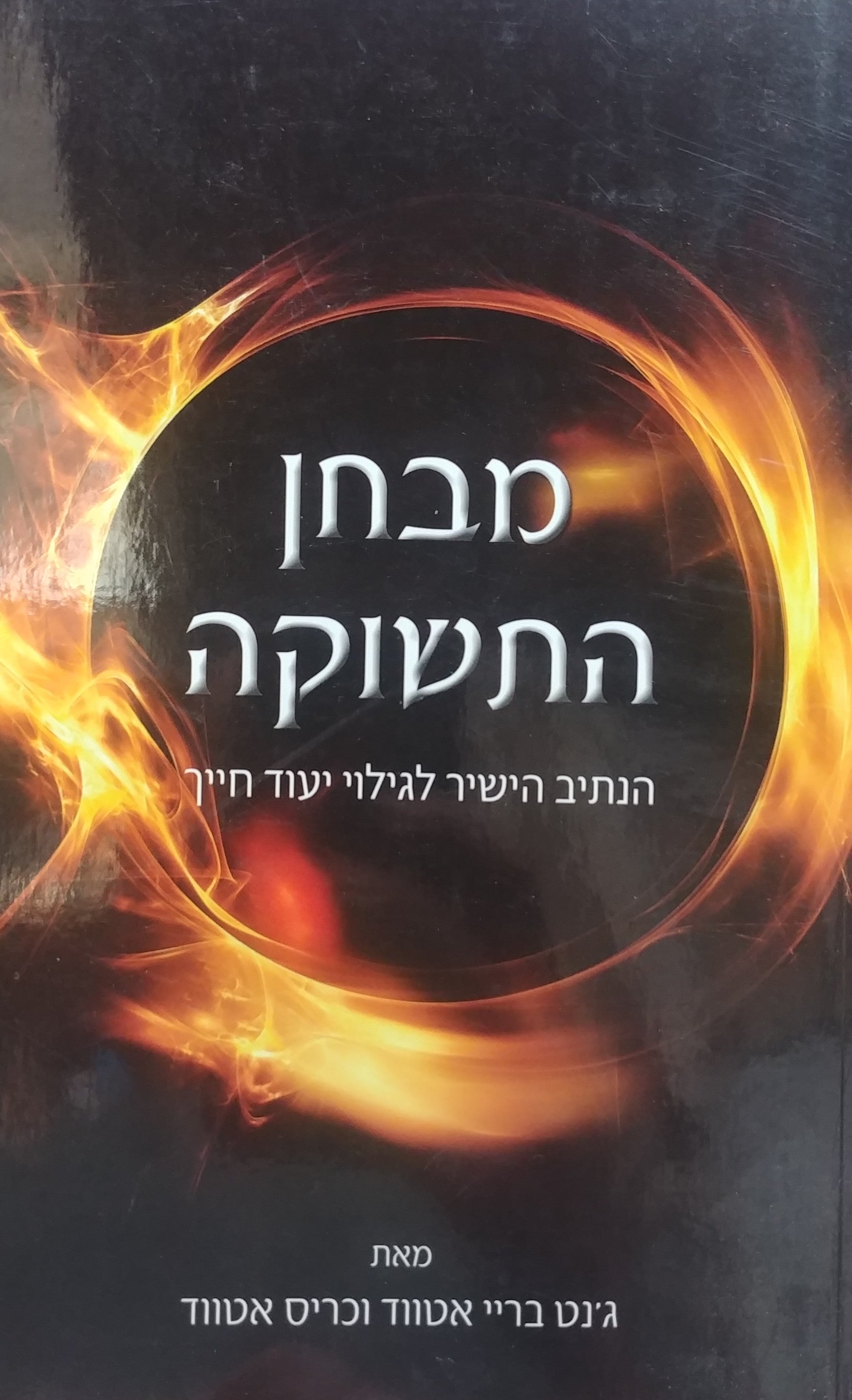 מבחן התשוקה / הנתיב הישיר לגילוי יעוד חייך