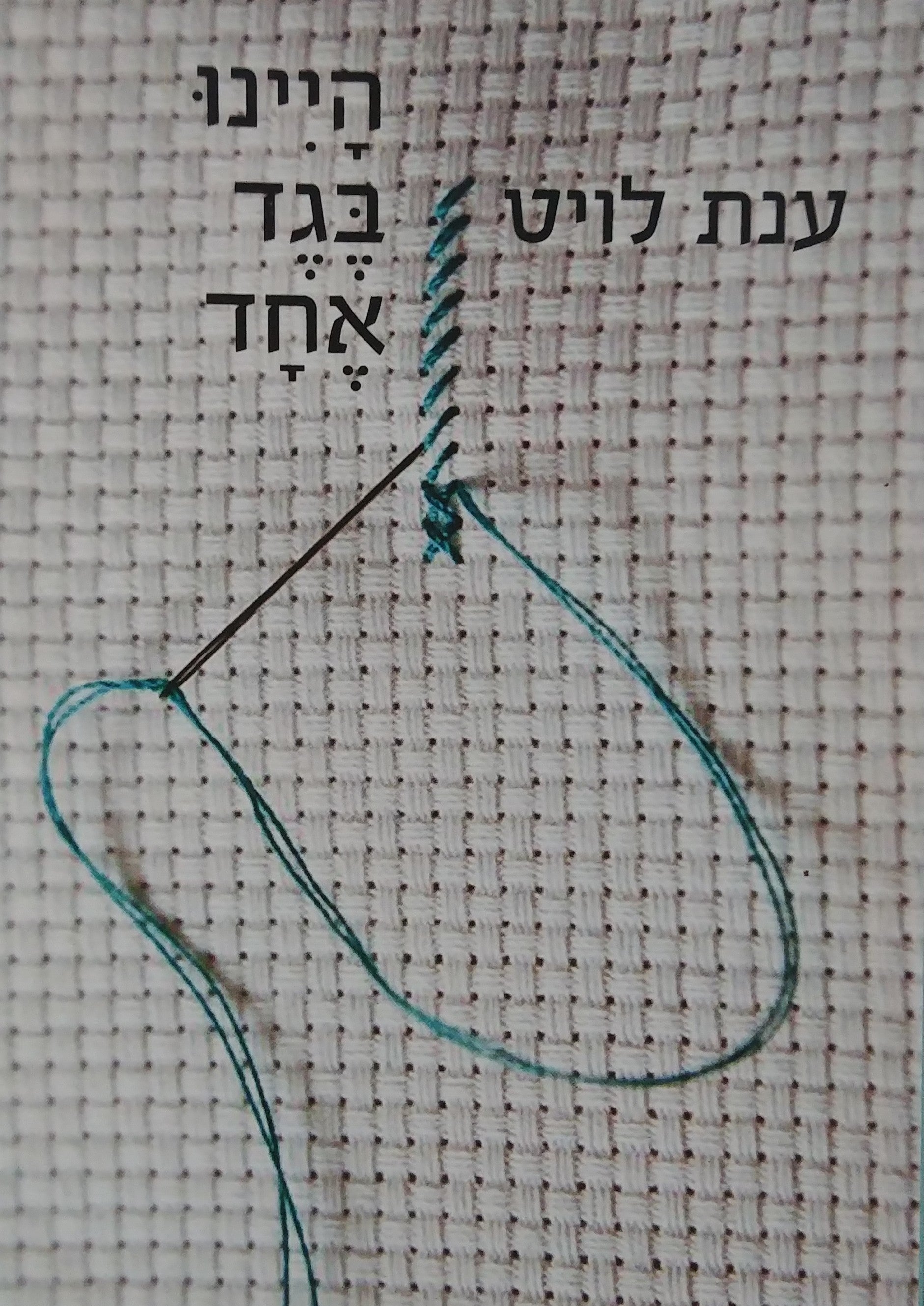 היינו בגד אחד