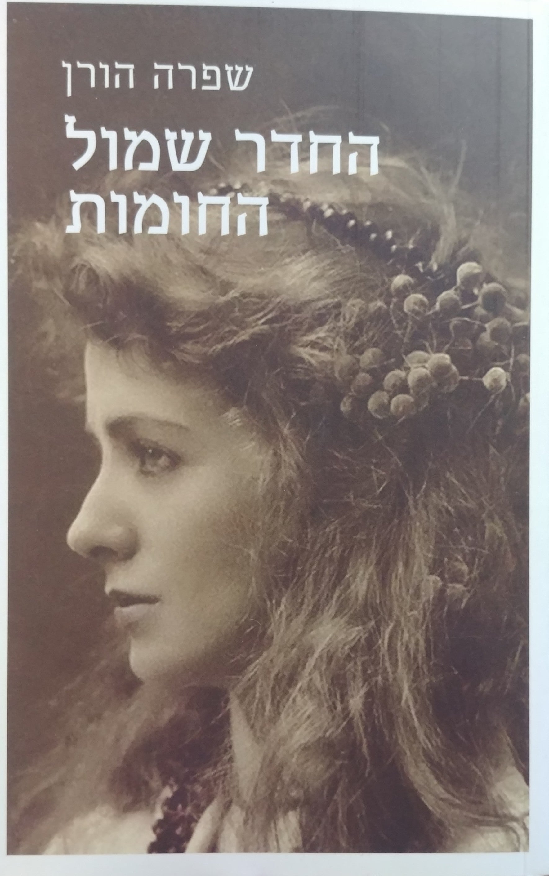 החדר שמול החומות