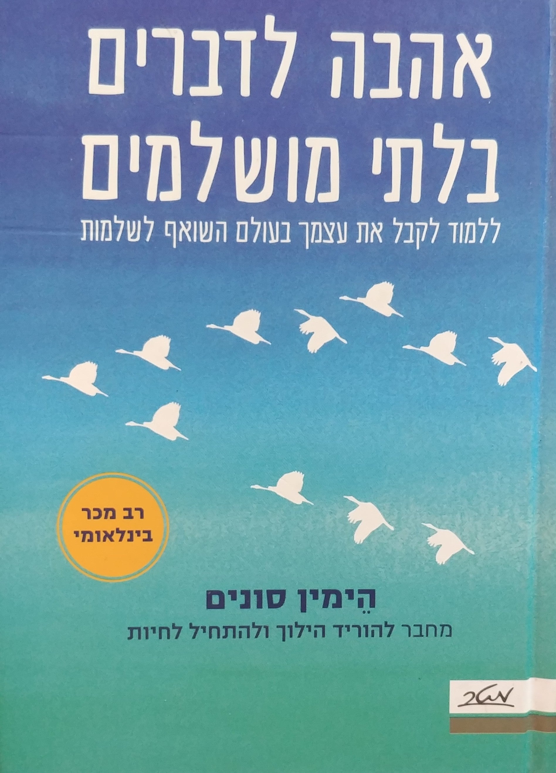 אהבה לדברים בלתי מושלמים / ללמוד לקבל את עצמך בעולם השואף לשלמות