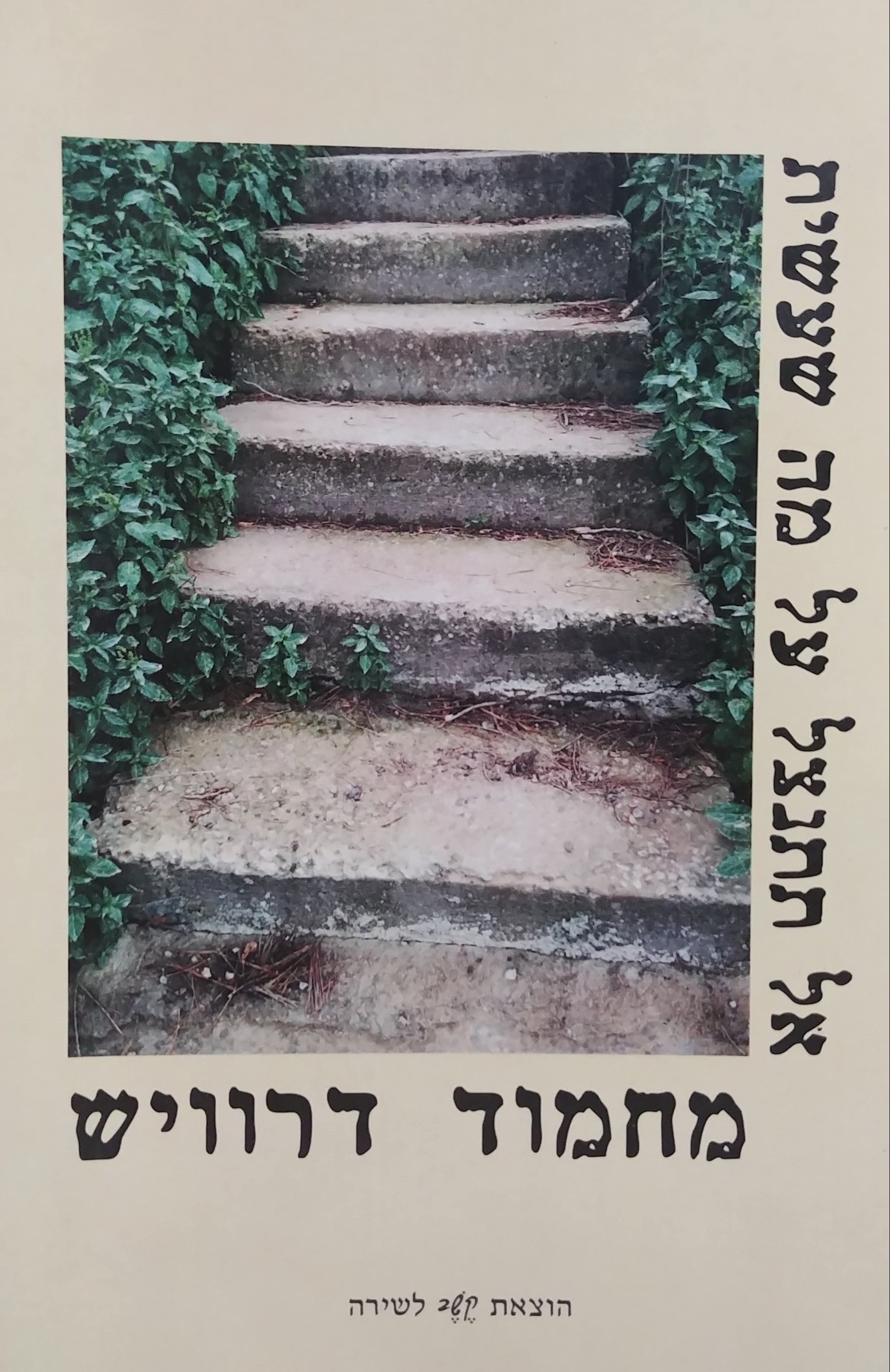 אל תתנצל על מה שעשית