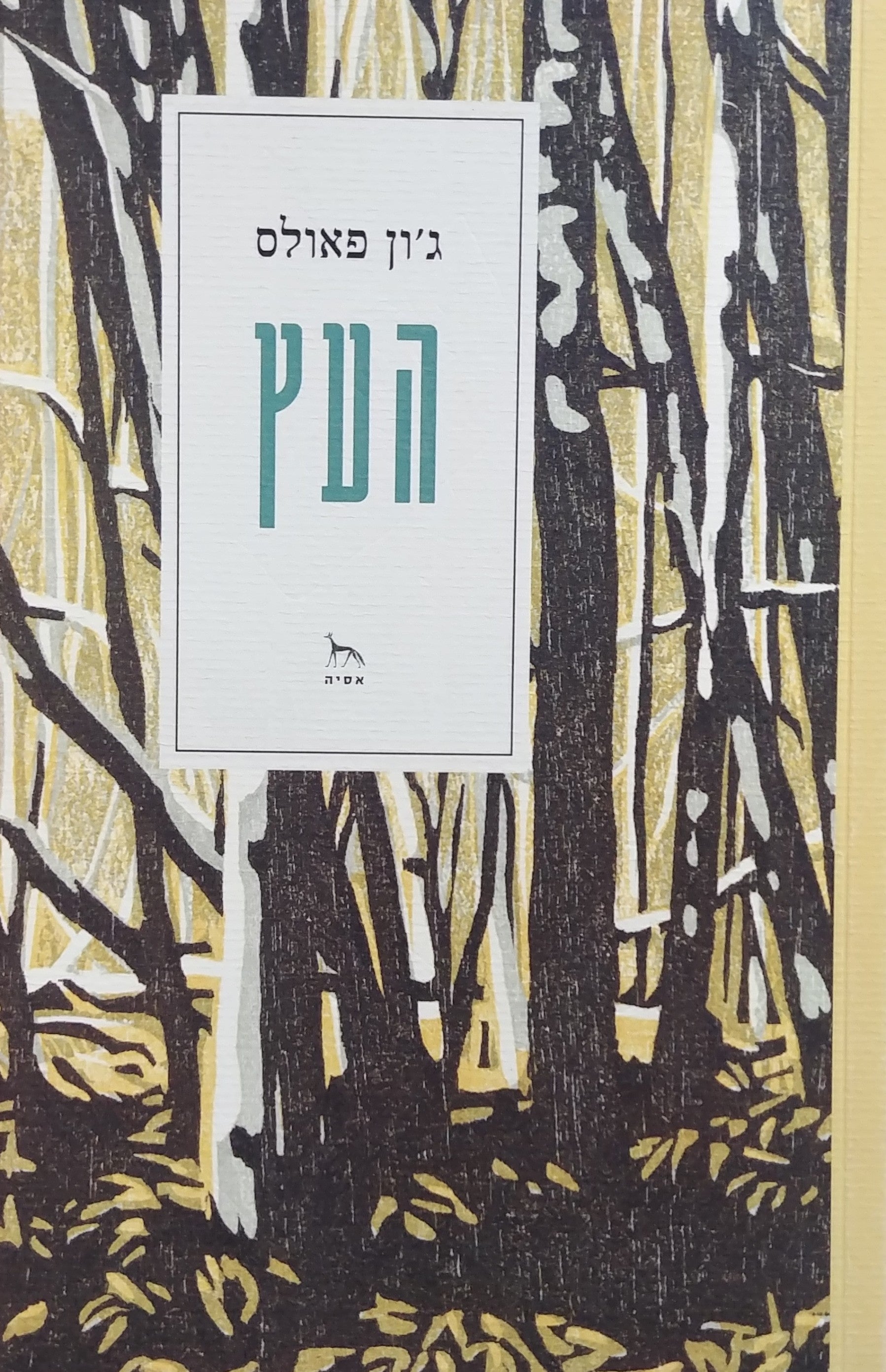 העץ