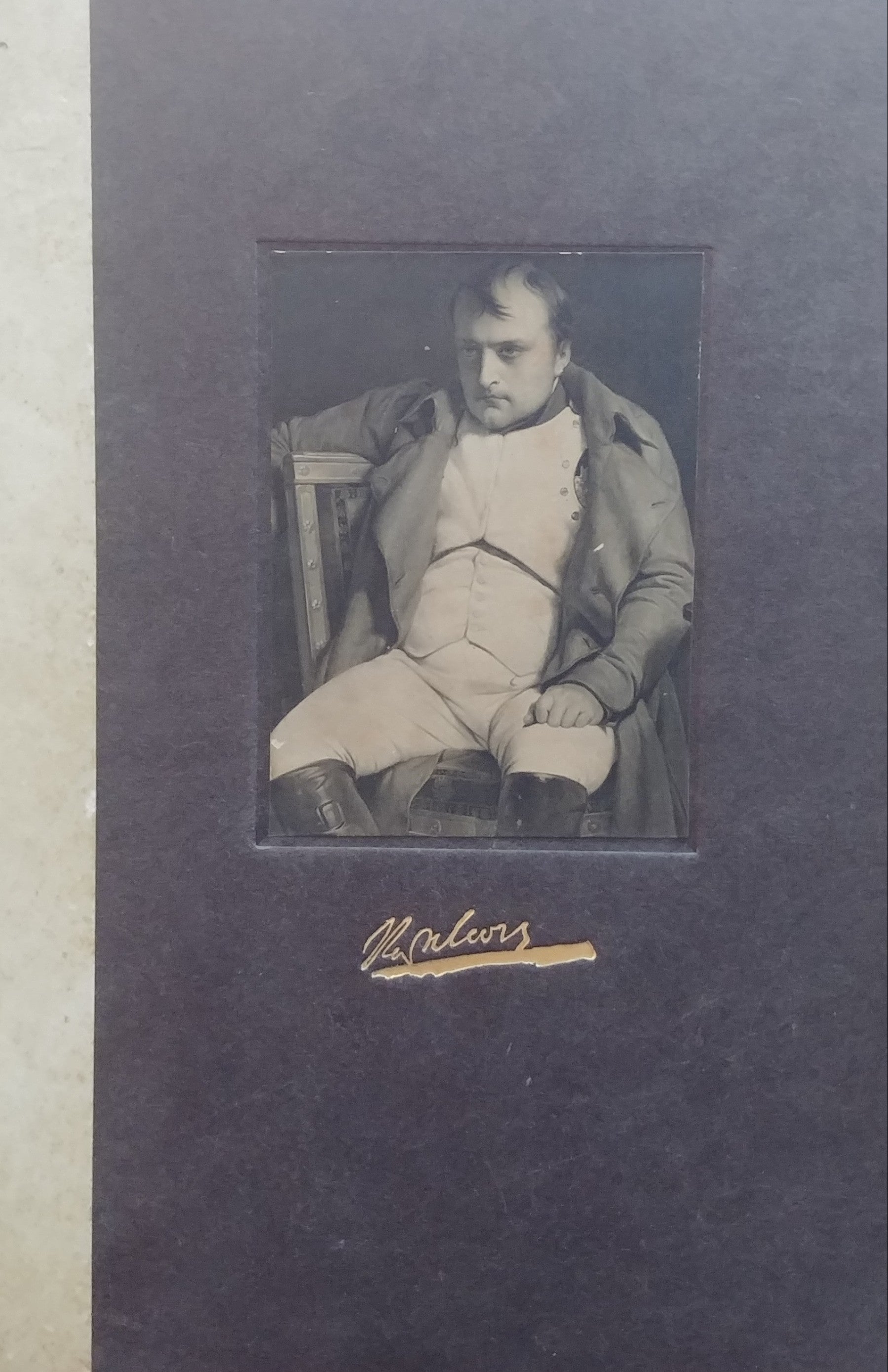 NAPOLEON / IN BILD UND WORT