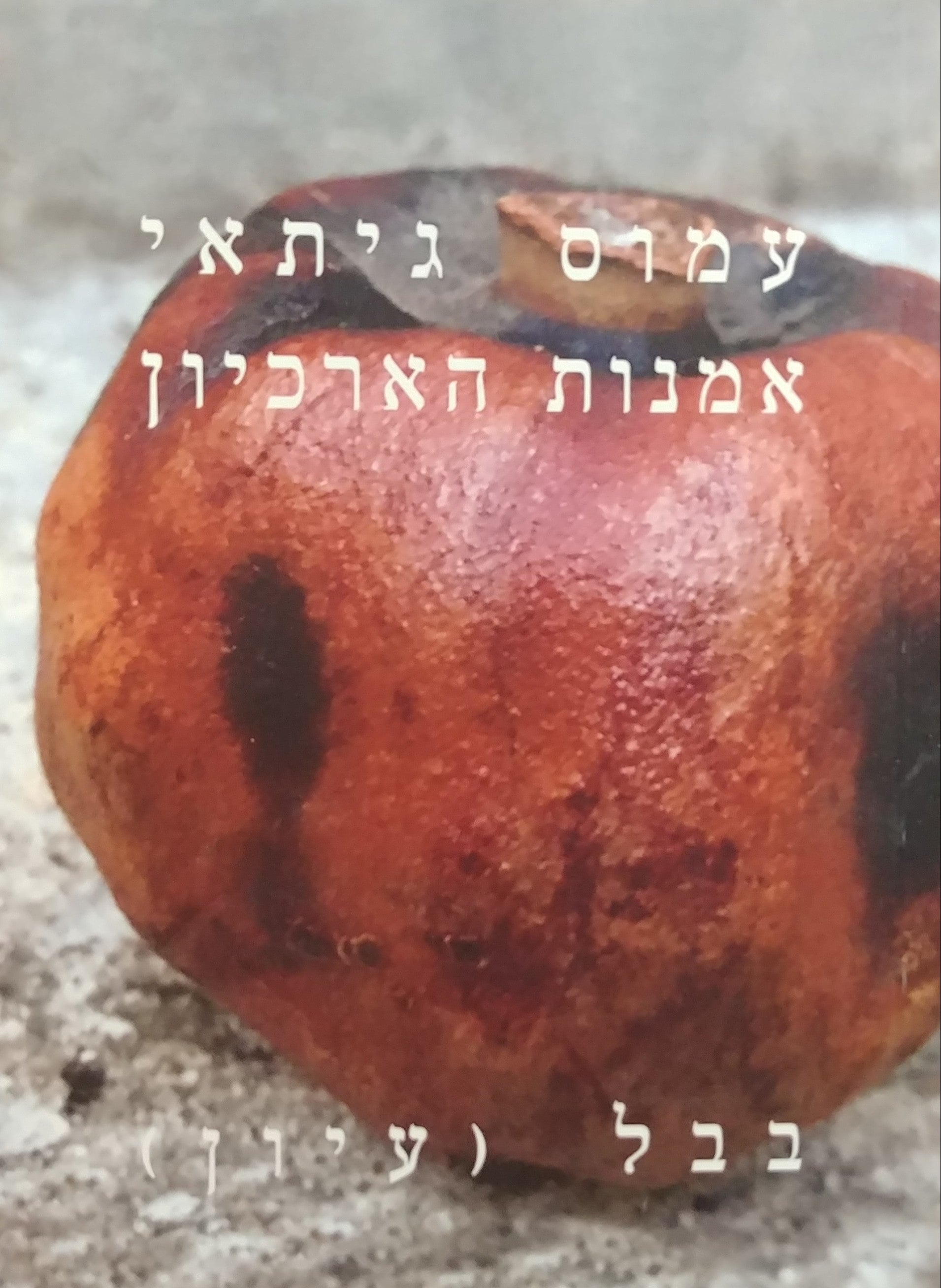 אמנות הארכיון / הקולנוע של עמוס גיתאי
